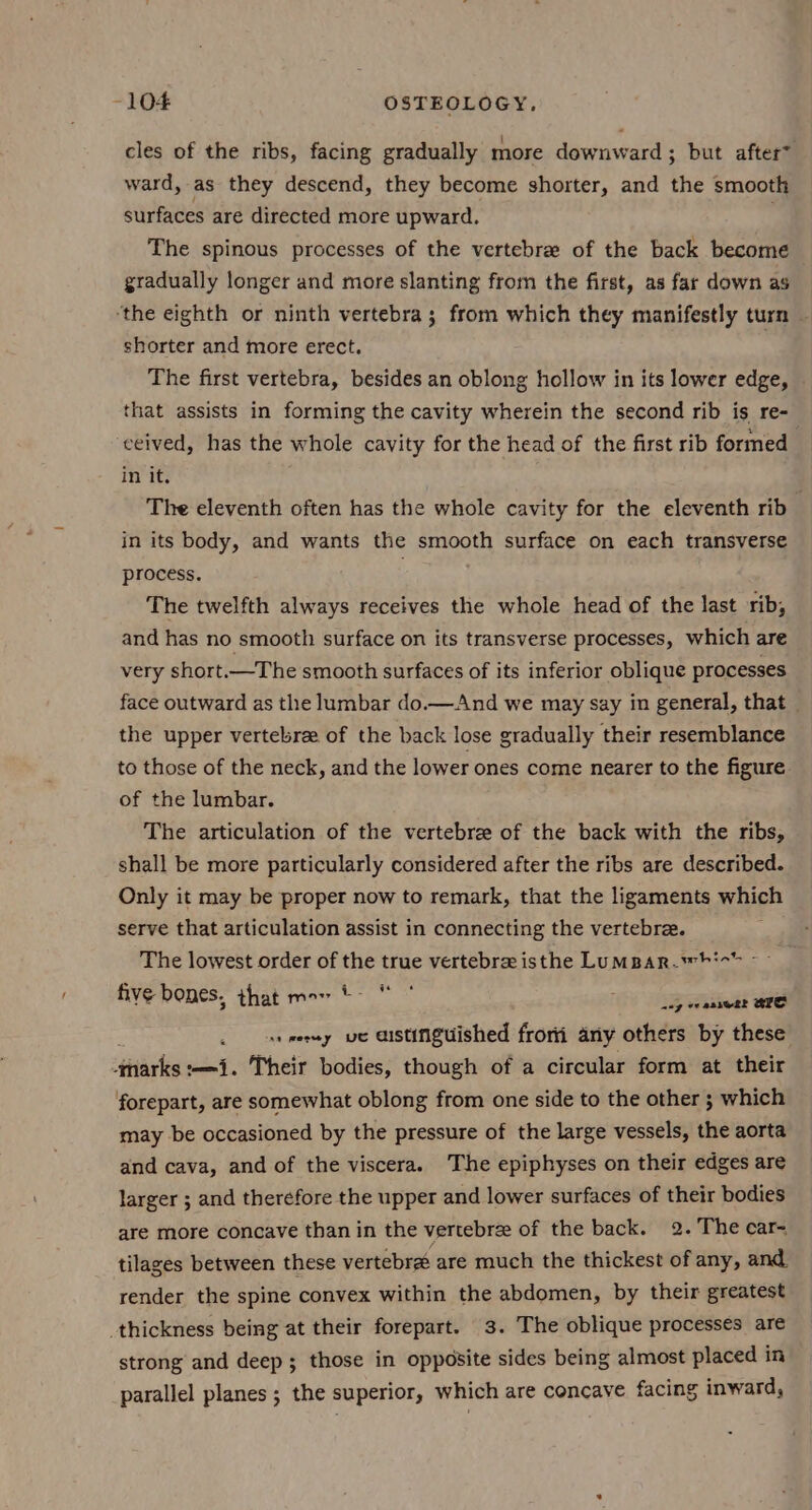 cles of the ribs, facing gradually more downward ; but after~ ward, as they descend, they become shorter, and the smooth surfaces are directed more upward. . The spinous processes of the vertebre of the back become gradually longer and more slanting from the first, as far down as ‘the eighth or ninth vertebra; from which they manifestly turn shorter and more erect. The first vertebra, besides an oblong hollow in its lower edge, that assists in forming the cavity wherein the second rib is re- ceived, has the whole cavity for the head of the first rib formed in it. The eleventh often has the whole cavity for the eleventh rib , in its body, and wants the smooth surface on each transverse process. The twelfth always receives the whole head of the last rib, and has no smooth surface on its transverse processes, which are very short.—The smooth surfaces of its inferior oblique processes face outward as the lumbar do.— And we may say in general, that the upper vertebrae of the back lose gradually their resemblance to those of the neck, and the lower ones come nearer to the figure of the lumbar. The articulation of the vertebre of the back with the ribs, shall be more particularly considered after the ribs are described. Only it may be proper now to remark, that the ligaments which serve that articulation assist in connecting the vertebree. ; The lowest order of the true vertebrae isthe LumBAR.whie” ~~ five bones, that men + * ey eaaseat BIG . as rermy ve aistinguished frori any others by these ssarkes -—{. Their bodies, though of a circular form at their forepart, are somewhat oblong from one side to the other ; which may be occasioned by the pressure of the large vessels, the aorta and cava, and of the viscera. The epiphyses on their edges are larger ; and therefore the upper and lower surfaces of their bodies are more concave than in the vertebrze of the back. 2. The car- tilages between these vertebra are much the thickest of any, and render the spine convex within the abdomen, by their greatest _thickness being at their forepart. 3. The oblique processes are strong and deep ; those in opposite sides being almost placed in parallel planes ; the superior, which are concave facing inward,