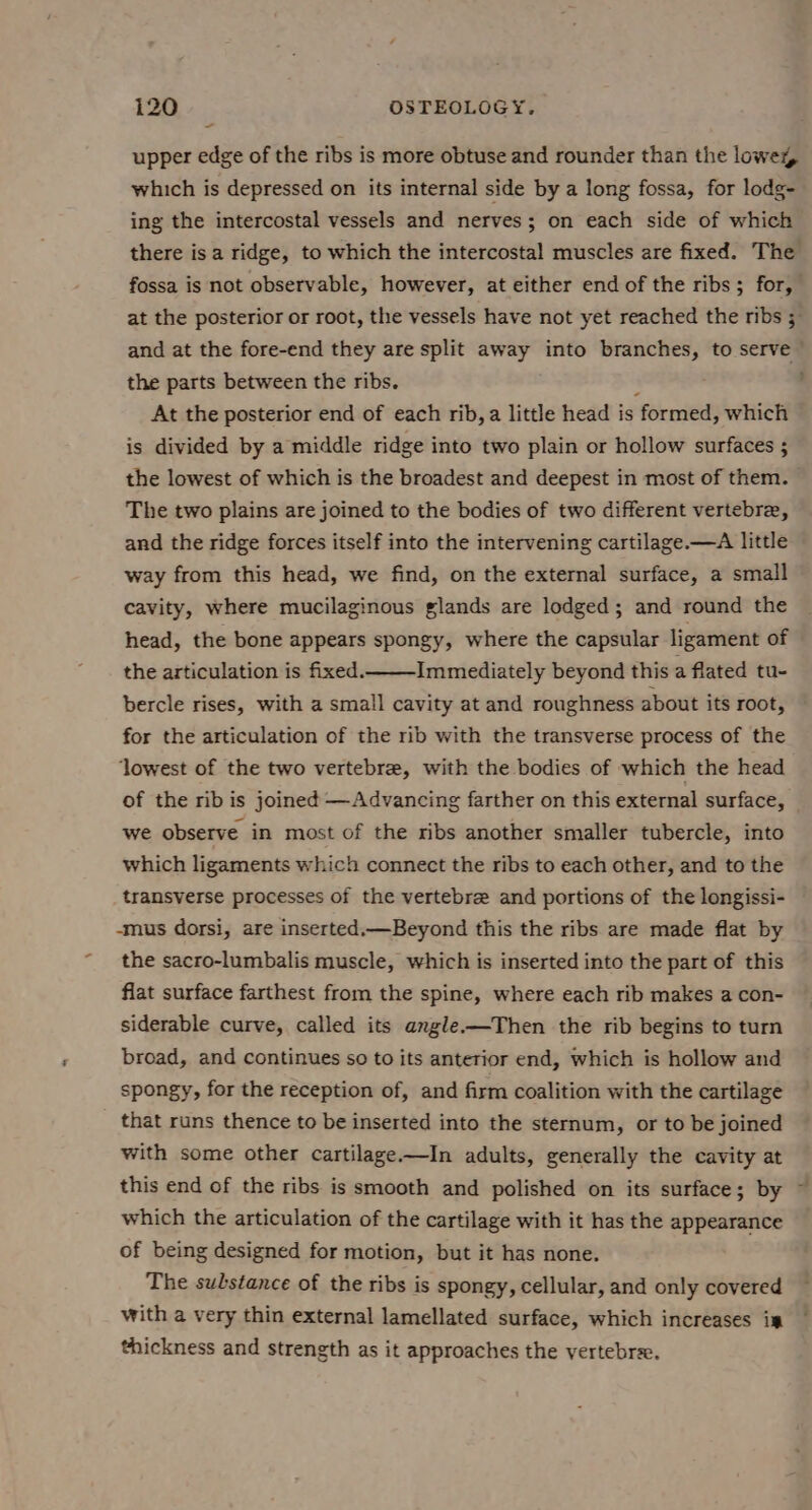 upper edge of the ribs is more obtuse and rounder than the lowez, which is depressed on its internal side by a long fossa, for lodg- ing the intercostal vessels and nerves; on each side of which the parts between the ribs. At the posterior end of each rib, a little head is ‘formed, which is divided by a middle ridge into two plain or hollow surfaces ; The two plains are joined to the bodies of two different vertebre, and the ridge forces itself into the intervening cartilage.—A little way from this head, we find, on the external surface, a small cavity, where mucilaginous glands are lodged; and round the head, the bone appears spongy, where the capsular ligament of the articulation is fixed. Immediately beyond this a flated tu- bercle rises, with a small cavity at and roughness about its root, for the articulation of the rib with the transverse process of the ‘lowest of the two vertebre, with the bodies of which the head of the rib is joined —Advancing farther on this external surface, we observe in most of the ribs another smaller tubercle, into which ligaments which connect the ribs to each other, and to the transverse processes of the vertebre and portions of the longissi- -mus dorsi, are inserted.—_ Beyond this the ribs are made flat by the sacro-lumbalis muscle, which is inserted into the part of this flat surface farthest from the spine, where each rib makes a con- siderable curve, called its angle-—Then the rib begins to turn broad, and continues so to its anterior end, which is hollow and spongy, for the reception of, and firm coalition with the cartilage that runs thence to be inserted into the sternum, or to be joined with some other cartilage—In adults, generally the cavity at this end of the ribs is smooth and polished on its surface; by which the articulation of the cartilage with it has the appearance of being designed for motion, but it has none. The substance of the ribs is spongy, cellular, and only covered with a very thin external lamellated surface, which increases im thickness and strength as it approaches the vertebra.