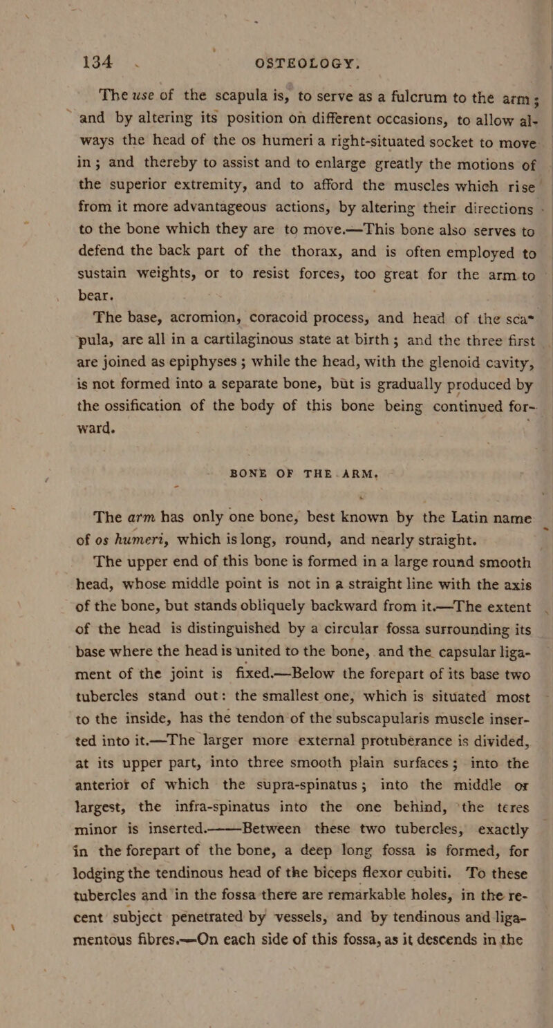 The use of the scapula is, to serve as a fulcrum to the arm ; ~ and by altering its position on different occasions, to allow al- ways the head of the os humeri a right-situated socket to move in; and thereby to assist and to enlarge greatly the motions of the superior extremity, and to afford the muscles which rise _ from it more advantageous actions, by altering their directions - to the bone which they are to move.—This bone also serves to defend the back part of the thorax, and is often employed to sustain weights, or to resist forces, too great for the arm to bear. The base, acromion, coracoid process, and head of the sca* pula, are all in a cartilaginous state at birth; and the three first are joined as epiphyses ; while the head, with the glenoid cavity, is not formed into a separate bone, but is gradually produced by the ossification of the body of this bone being continued for-. ward. BONE OF THE-.ARM. The arm has only one bone, best known by the Latin name of os humeri, which is long, round, and nearly straight. The upper end of this bone is formed in a large round smooth head, whose middle point is not in a straight line with the axis of the bone, but stands obliquely backward from it——The extent of the head is distinguished by a circular fossa surrounding its _ base where the head is united to the bone, and the capsular liga- ment of the joint is fixed.—Below the forepart of its base two tubercles stand out: the smallest one, which is situated most to the inside, has the tendon of the subscapularis muscle inser- ted into it—The larger more external protuberance is divided, at its upper part, into three smooth plain surfaces; into the anterior of which the supra-spinatus; into the middle or largest, the infra-spinatus into the one behind, ‘the teres minor is inserted. Between these two tubercles, exactly in the forepart of the bone, a deep long fossa is formed, for lodging the tendinous head of the biceps flexor cubiti. To these tubercles and ‘in the fossa there are remarkable holes, in the re- cent subject penetrated by vessels, and by tendinous and liga- mentous fibres.~—On each side of this fossa, as it descends in the