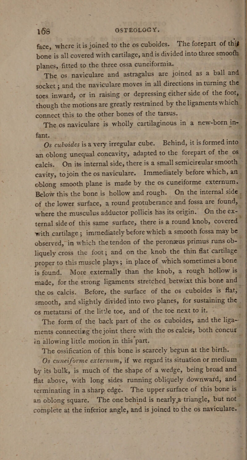 face, where itis joined to the os cuboides. The forepart of this bone is all covered with cartilage, and is divided into three smooth planes, fitted to the three ossa cuneiformia. — The os naviculare and astragalus are joined as a ball and socket ; and the naviculare moves in all directions in turning the toes inward, or in raising or depressing either side of the foot, though the motions are greatly restrained by the ligaments which connect this to the other bones of the tarsus. The os naviculare is wholly cartilaginous in a new-born i ins 3 fant. Os culoides isa very irregular cube. an oblong unequal concavity, adapted to the forepart of the os calcis. On its internal side, there is a small semicireular smooth | cavity, to join the os naviculare. Immediately before which, an : oblong smooth plane is made by the os cuneiforme externum. Below this the bone is hollow and rough. On the internal side . of the lower surface, a round protuberance and fossa are found, where the musculus adductor pollicis has its origin. On the ex- ternal side of this same surface, there is a round knob, covered with cartilage ; immediately before which a smooth fossa may bes] observed, in which the tendon of the peronzus primus runs ob- liquely cross the foot; and on the knob the thin flat cartilage proper to this muscle abe &amp;, ; in place of which sometimes a bone is found. More externally than the knob, a rough hollow is made, for the strong ligaments stretched betwixt this bone and ’ the os calcis. Before, the surface of the os cuboides is flat, smooth, and slightly divided into two planes, for sustaining the os metatarsi of the little toe, and of the toe next to it. ~ 7 The form of the back part of the os cuboides, and the liga— ments connecting the joint there with the os calcis, both concut in allowing little motion in this ‘part. The ossification of this bone is scarcely begun at the birth. Os cuneiforme externum, if we regard its situation or medium > by its bulk, is much of the shape of a wedge, being broad and flat above, with long sides running obliquely downward, and terminating in a sharp edge. The upper surface of this bone is - an oblong square. The one behind is nearly,a triangle, but not complete at the inferior angle, and is joined to the og naviculare. Behind, it is formed into : ~~