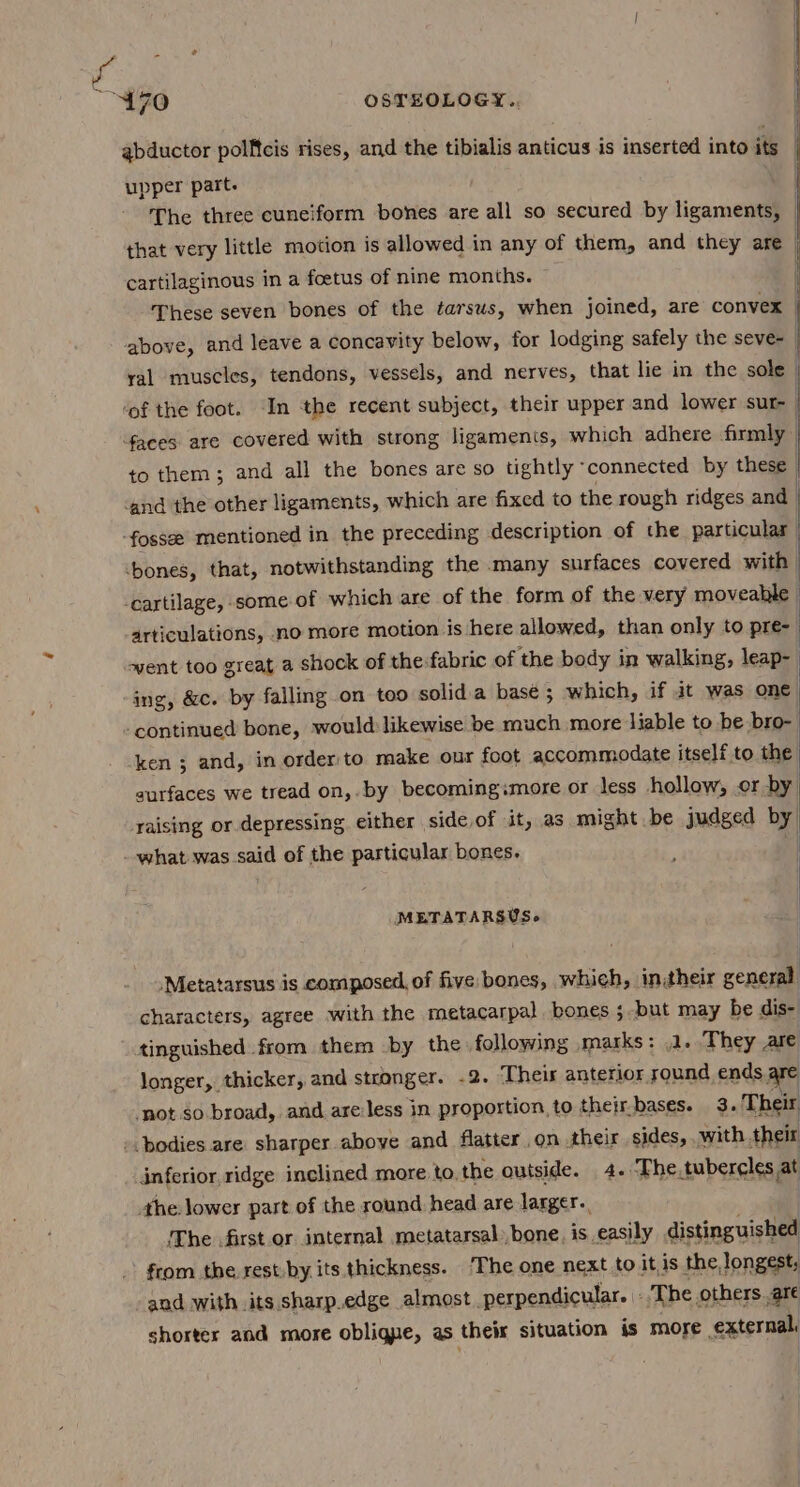 abductor pollicis rises, and the tibialis anticus is inserted into it | upper part. The three cuneiform bones are all so secured by ligaments, that very little motion is allowed in any of them, and they are cartilaginous in a foetus of nine months. These seven bones of the tarsus, when joined, are convex | above, and leave a concavity below, for lodging safely the seve- ral muscles, tendons, vessels, and nerves, that lie in the sole | ‘of the foot. In the recent subject, their upper and lower sur- | faces are covered with strong ligaments, which adhere firmly | to them; and all the bones are so tightly ‘connected by these | and the other ligaments, which are fixed to the rough ridges and -fosse mentioned in the preceding description of the particular : -bones, that, notwithstanding the many surfaces covered with | cartilage, some of which are of the form of the very moveable | articulations, mo more motion is here allowed, than only to pre- | went too great a shock of the:fabric of the body in walking, leap- ing, &amp;c. by falling on too solid.a base; which, if 3t was one ‘continued bone, would likewise be much more liable to be bro- ken ; and, in order: to make our foot accommodate itself to the aurfaces we tread on,.by becomingimore or less hollow, or by raising or depressing either side of it, as might. be judged by what was said of the particular bones. “| METATARSUS. .Metatarsus is composed, of five bones, which, initheir general characters, agree with the metacarpal bones ; but may be dis- tinguished from them by the following marks: 1..They are longer, thicker, and stronger. -2. Theis anterior round ends; -not.so broad, and are:less in proportion to their bases. 3. Their -. bodies are sharper aboye and flatter on their sides, .with their inferior ridge inclined more to. the outside. 4. The.tubercles 4 the lower part of the round head are larger. The first or internal metatarsal, bone. is easily distinguished ' from the rest:by its thickness. ‘The one next to it, is the longest, and with its sharp.edge almost perpendicular. | The, others are shorter and more oblique, as their situation is more external.