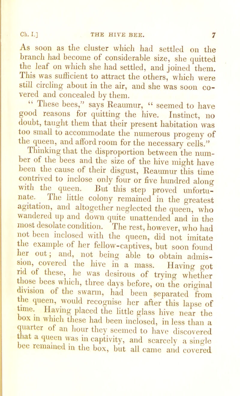 As soon as the cluster which had settled on the branch had become of considerable size, she quitted the leaf on which she had settled, and joined them. This was sufficient to attract the others, which were still circling about in the air, and she was soon co- vered and concealed by them. “ These bees,” says Reaumur, “ seemed to have good reasons for quitting the hive. Instinct, no doubt, taught them that their present habitation was too small to accommodate the numerous progeny of the queen, and afford room for the necessary cells.” Thinking that the disproportion between the num- ber of the bees and the size of the hive might have been the cause of their disgust, Reaumur this time contrived to inclose only four or five hundred along with the queen. But this step proved unfortu- nate. _ The little colony remained in the greatest agitation, and altogether neglected the queen, who wandered up and down quite unattended and in the most desolate condition. The rest, however, who had not been inclosed with the queen, did not imitate the example of her fellow-captives, but soon found her out; and, not being able to obtain admis- sion, covered the hive in a mass. Having got rid of these, he was desirous of trying whether those bees which, three days before, on the original division of the swarm, had been separated from the queen, would recognise her after tiffs lapse of time. Having placed the little glass hive near the box m which these had been inclosed, in less than a quarter of an hour they seemed to have discovered that a queen was in captivity, and scarcely a single bee remained in the box, but all came and covered