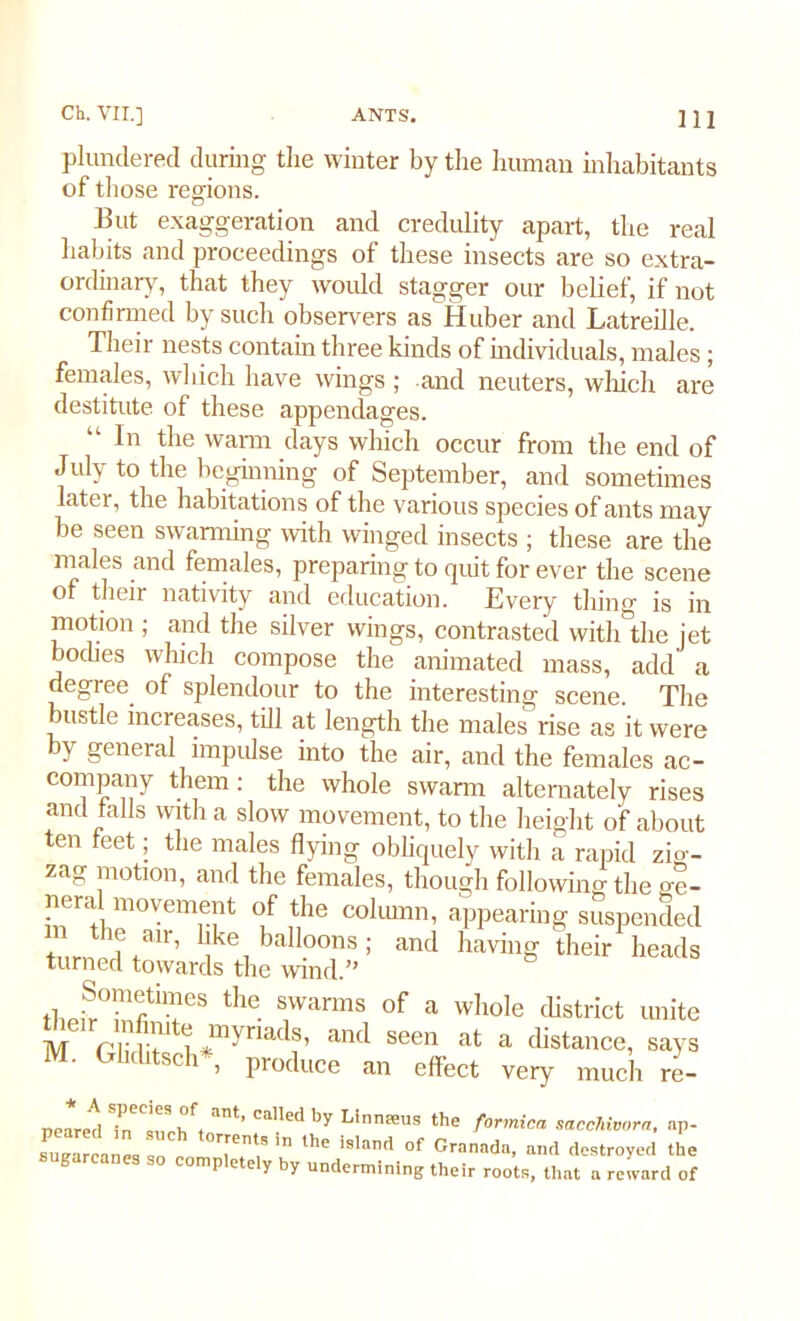 plundered during the winter by the human inhabitants of those regions. But exaggeration and credulity apart, the real habits and proceedings of these insects are so extra- ordinary, that they would stagger our belief, if not confirmed by such observers as Huber and Latreille. Their nests contain three kinds of individuals, males; females, which have wings ; and neuters, which are destitute of these appendages. “ In warm days which occur from the end of July to the beginning of September, and sometimes later, the habitations of the various species of ants may be seen swarming with winged insects ; these are the males and females, preparing to quit for ever the scene of their nativity and education. Every thing is in motion ; and the silver wings, contrasted with the jet bodies which compose the animated mass, add a degree, of splendour to the interesting scene. The bustle increases, till at length the males rise as it were by general impulse into the air, and the females ac- company them: the whole swarm alternately rises and falls with a slow movement, to the heieht of about Sometimes the swarms of a whole district unite ic'r m miti; myriads, and seen at a distance, says ’ G ltsc1' > produce an effect very much re- * A species of ant. nnll^ i,.. t s „