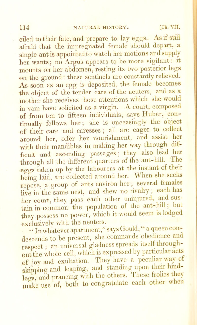 cilecl to their fate, and prepare to lay eggs. As if still afraid that the impregnated female should depart, a single ant is appointed to watch her motions and supply her wants; no Argus appears to be more vigilant: it mounts on her abdomen, resting its two posterior legs on the ground: these sentinels are constantly relieved. As soon as an egg is deposited, the female becomes the object of the tender care of the neuters, and as a mother she receives those attentions which she would in vain have solicited as a virgin. A court, composed of from ten to fifteen individuals, says Huber, con- tinually follows her; she is unceasingly the object of their care and caresses ; all are eager to collect around her, offer her nourishment, and assist her with their mandibles in making her way through dif- ficult and ascending passages; they also lead her through all the different quarters of the ant-hill. The eggs taken up by the labourers at the instant of their being laid, are collected around her. When she seeks repose, a group of ants environ her ; several females live in the same nest, and shew no rivalry ; each has her court, they pass each other uninjured, and sus- tain in common the population of the ant-hill; jut they possess no power, which it would seem is lodged exclusively with the neuters. “ In whatever apartment,” says Gould, “ a queen con- descends to be present, she commands obedience and respect; an universal gladness spreads itself through- out the whole cell, which is expressed by particular acts of joy and exultation. They have a peculiar way ot skipping and leaping, and standing upon their hind- legs, and prancing with the others. These frolics thc> make use of, both to congratulate each other when