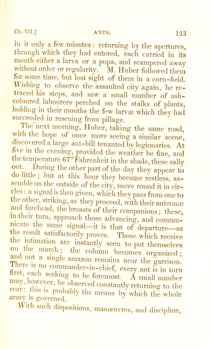 in it only a few minutes: returning by the apertures, through which they had entered, each carried in its mouth either a larva or a pupa, and scampered away without order or regularity. M. Huber followed them for some tune, but lost sight of them in a corn-field. Wishing, to observe the assaulted city again, he re- traced his steps, and saw a small number of ash- coloured labourers perched on the stalks of plants, holding in their mouths the few larvte which they had succeeded in rescuing from pillage. The next morning, Huber, taking the same road, with the hope of once more seeing a similar scene, discovered a large ant-hill tenanted by legionaries. At five m the evening, provided the weather be fine, and the temperature 67° Fahrenheit in the shade, these sally out During the other part of the day they appear to o little ; but at this hour they become restless, as- semble on the. outside of the city, move round it in cir- c es. a signal is then given, which they pass from one to the other striking, as they proceed, with their antenme and forehead, the breasts of their companions; these, m their turn, approach those advancing, and commu- nicate the same signal—it is that of departure—as the result satisfactorily proves. Those which receive the intimation are instantly seen to put themselves on the march; the column becomes organized; and not a single amazon remains near the garrison. There is n° commander-in-chief, every ant is in turn mav hnw S6ekrg l'° be foremost A small number rent- th^T*’ 1 °,b,seryRd constantly returning to the ■ - S S Pr°bably the means by which the whole army is governed. With such dispositions, manoeuvres, and discipline,