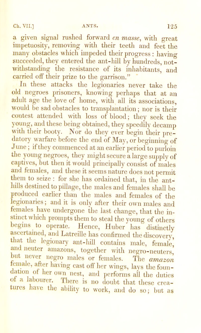 a given signal rushed forward en masse, with great impetuosity, removing with their teetli and feet the many obstacles which impeded their progress : having succeeded, they entered the ant-hill by hundreds, not- withstanding the resistance of its inhabitants, and carried off their prize to the garrison.” In these attacks the legionaries never take the old negroes prisoners, knowing perhaps that at an adult age the love of home, with all its associations, would be sad obstacles to transplantation; nor is their contest attended with loss of blood; they seek the young, and these being obtained, they speedily decamp with their booty. Nor do they ever begin their pre- datory warfare before the end of May, or beginning of J une; if they commenced at an earlier period to purloin the young negroes, they might secure a large supply of captives, but then it would principally consist of males and females, and these it seems nature does not permit them to seize : for she has ordained that, in the ant- hills destined to pillage, the males and females shall be produced earlier than the males and females of the legionaries; and it is only after their own males and females have undergone the last change, that the in- stinct which prompts them to steal the young of others begins to operate. Hence, Huber has distinctly ascertained, and Latreille has confirmed the discoverv, that the legionary ant-hill contains male, female, and neuter amazons, together with negro-neuters but never negro males or females. The amazon female, after having cast off her wings, lays the foun- dation of her own nest, and performs ail the duties of a labourer. There is no doubt that these crea- tures have the ability to work, and do so; but as