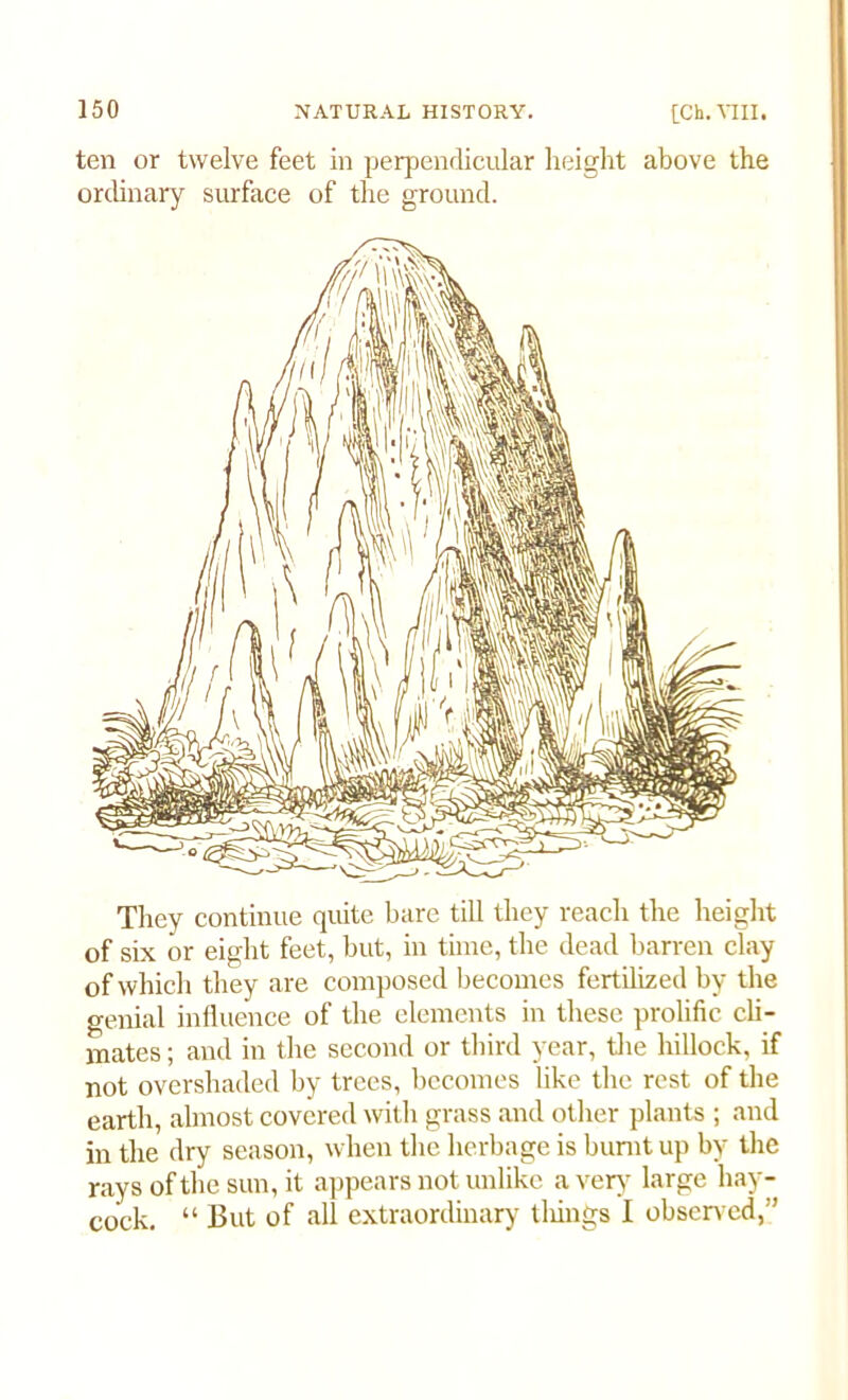 ten or twelve feet in perpendicular height above the ordinary surface of the ground. They continue quite bare till they reach the height of six or eight feet, but, in time, the dead barren clay of which they are composed becomes fertilized by the genial influence of the elements in these prolific cli- mates ; and in the second or third year, the hillock, if not overshaded by trees, becomes like the rest of the earth, almost covered with grass and other plants ; and in the dry season, when the herbage is burnt up by the rays of the sun, it appears not unlike a very large hay- cock. “ But of all extraordinary tilings I observed,”