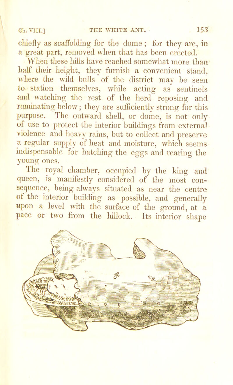 chiefly as scaffolding for the dome ; for they are, in a great part, removed when that has been erected. When these hills have reached somewhat more than half their height, they furnish a convenient stand, where the wild bulls of the district may be seen to station themselves, while acting as sentinels and watching the rest of the herd reposing and ruminating below; they are sufficiently strong for this purpose. The outward shell, or dome, is not only of use to protect the interior buildings from external violence and heavy rains, but to collect and preserve a regular supply of heat and moisture, which seems indispensable for hatching the eggs and rearing the young ones. The royal chamber, occupied by the king and queen, is manifestly considered of the most con- sequence, being always situated as near the centre of the interior building as possible, and generally upon a level with the surface of the ground, at a pace or two from the hillock. Its interior shape