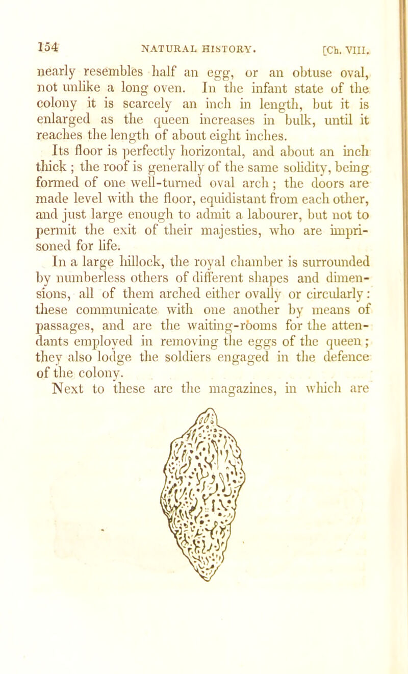 nearly resembles half an egg, or an obtuse oval, not unlike a long oven. In the infant state of the colony it is scarcely an inch in length, but it is enlarged as the queen increases in bulk, until it reaches the length of about eight inches. Its floor is perfectly horizontal, and about an inch thick ; the roof is generally of the same solidity, being formed of one well-turned oval arch ; the doors are made level with the floor, equidistant from each other, and just large enough to admit a labourer, but not to permit the exit of their majesties, who are impri- soned for life. In a large hillock, the royal chamber is surrounded by numberless others of different shapes and dimen- sions, all of them arched either ovally or circularly : these communicate with one another by means of passages, and are the waiting-rboms for the atten- dants employed in removing the eggs of the queen ; they also lodge the soldiers engaged in the defence of the colony. Next to these are the magazines, in which are