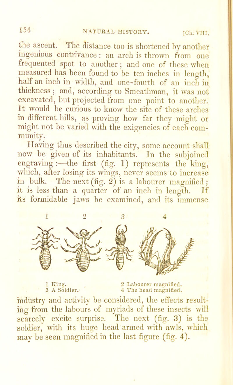 [Cb. VIII. the ascent. The distance too is shortened by another ingenious contrivance: an arch is thrown from one frequented spot to another; and one of these when measured has been found to be ten indies in length, half an inch in width, and one-fourth of an inch in thickness ; and, according to Smeathman, it was not excavated, but projected from one point to another. It would be curious to know the site of these arches in different hills, as proving how far they might or might not be varied with the exigencies of each com- munity. Having thus described the city, some account shall now be given of its inhabitants. In the subjoined engraving:—the first (fig. 1) represents the king, which, after losing its wings, never seems to increase in bulk. The next (fig. 2) is a labourer magnified ; it is less than a quarter of an inch in length. If its formidable jaws be examined, and its immense 12 3 4 1 King. 2 Labourer magnified. 3 A Soldier. 4 The head magnified. industry and activity be considered, the effects result- ing from the labours of myriads of these insects will scarcely excite surprise. The next (fig. 3) is the soldier, with its huge head armed with awls, which may be seen magnified in the last figure (fig. 4).