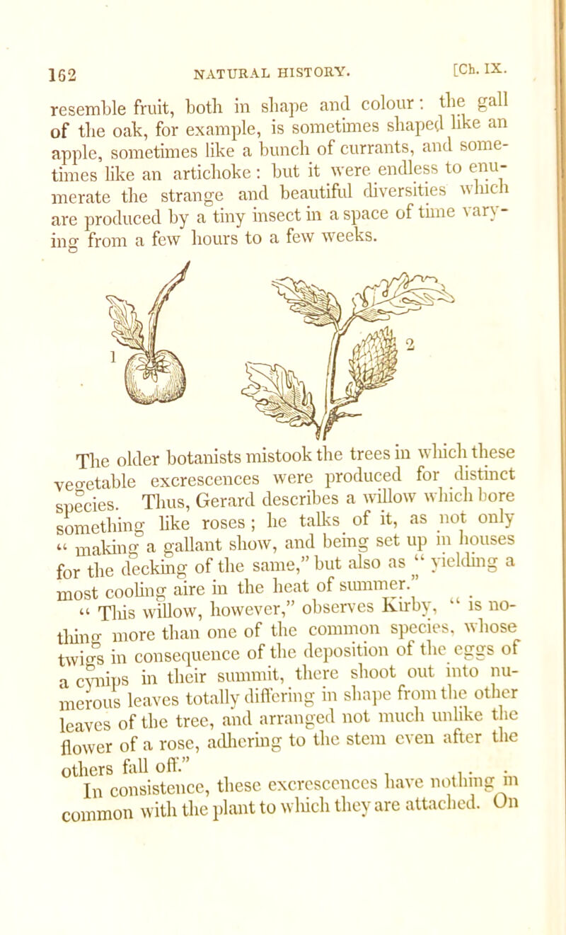 resemble fruit, both in shape and colour: the ga of the oak, for example, is sometimes shaped like an apple, sometimes like a bunch of currants, and some- times like an artichoke: but it were endless to enu- merate the strange and beautiful diversities which are produced by a tiny insect in a space of tune \ ar\ ins from a few hours to a few weeks. O The older botanists mistook the trees in which these vegetable excrescences were produced for distinct species. Thus, Gerard describes a willow which bore something like roses; he talks of it, as not only « making a gallant show, and being set up m houses for the decking of the same,” but also as “ yielding a most cooling aire in the heat of summer. “ Tliis willow, however,” observes Kirby,  is no- tPing more than one of the common species, whose twigs in consequence of the deposition of the eggs of a cvnips in their summit, there shoot out into nu- merous leaves totally differing in shape from the other leaves of the tree, and arranged not much unlike the flower of a rose, adhering to the stem c\en after the others fall oft.” ,. In consistence, these excrescences have nothing m common with the plant to which they are attached. On