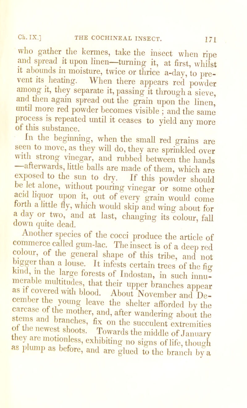 who gather the kermes, take the insect when ripe and spread it upon linen—turning it, at first, whilst it abounds in moisture, twice or thrice a-day, to pre- vent its heating. When there appears red powder among it, they separate it, passing it through a sieve, and then again spread out the grain upon the linen, until more red powder becomes visible ; and the same process is repeated until it ceases to yield any more of this substance. In the beginning, when the small red grains are seen to move, as they will do, they are sprinkled over with strong vinegar, and rubbed between the hands artei wards, little balls are made of them, which are exposed to the sun to dry. If this powder should be let alone, without pouring vinegar or some other acid liquor upon it, out of every grain would come forth a little fly, which would skip and wing about for a day or two, and at last, changing its colour, fall down quite dead. Another species of the cocci produce the article of commerce called gum-lac. The insect is of a deep red colour, of the general shape of this tribe, and not bigger than a louse. It infests certain trees of the fio- kmd, m the large forests of Indostan, in such innu- merable multitudes, that their upper branches appear as if covered with blood. About November and De- cember the young leave the shelter afforded by the carcase of the mother, and, after wandering about the stems and branches, fix on the succulent extremities JL* ® J s,!00ts- Towards the middle of January thej are motionless, exhibiting no signs of life, though 1 umP as before> anti are glued to the branch by a