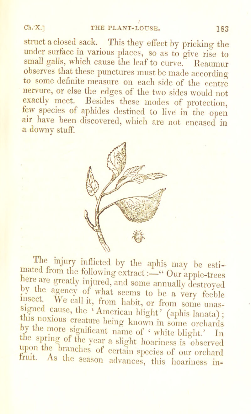 struct a closed sack. This they effect by pricking the under surface in various places, so as to give rise to small galls, which cause the leaf to curve. Reaumur observes that these punctures must be made according to some definite measure on each side of the centre nervure, or else the edges of the two sides would not exactly meet. Besides these modes of protection, few species of aphides destined to live in the open air have been discovered, which are not encased in a downy stuff. he injury inflicted by the aphis may he esti- mated from the following extract“ Our apple-trees ere are greatly injured, and some annually destroyed ■*-V t ‘e agency of what seems to be a very feeble msec V e call it, from habit, or from some unas- ■ I ?etl c.ause’ the ‘ American blight ’ (aphis lanata) ; this noxious creature being known in some orchards by tiie more significant name of ‘ white blight.’ In ie spring o the year a slight hoariness is observed upon ie iranches of certain species of our orchard rm • s the season advances, this hoariness in-