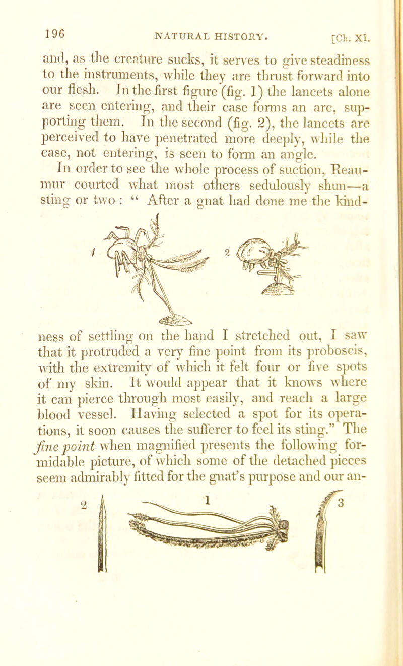 and, as the creature sucks, it serves to give steadiness to the instruments, while they are thrust forward into our flesh. In the first figure (fig. 1) the lancets alone are seen entering, and their case forms an arc, sup- porting them. In the second (fig. 2), the lancets are perceived to have penetrated more deeply, while the case, not entering, is seen to form an angle. In order to see the whole process of suction, Reau- mur courted what most others sedulously shun—a sting or two : “ After a gnat had done me the kind- 2 ness of settling on the hand I stretched out, I saw that it protruded a very fine point from its proboscis, with the extremity of which it felt four or five spots of my skin. It would appear that it knows where it can pierce through most easily, and reach a large blood vessel. Having selected a spot for its opera- tions, it soon causes the sufferer to feel its sting.” The fine point when magnified presents the following for- midable picture, of which some of the detached pieces seem admirably fitted for the gnat’s purpose and our an-