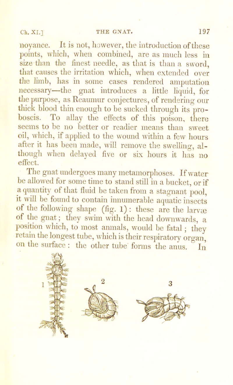 noyance. It is not, however, the introduction of these points, which, when combined, are as much less in size than the finest needle, as that is than a sword, that causes the irritation which, when extended over the limb, has in some cases rendered amputation necessary—the gnat introduces a little liquid, for the purpose, as Reaumur conjectures, of rendering our thick blood thin enough to be sucked through its pro- boscis. To allay the effects of this poison, there seems to be no better or readier means than sweet oil, which, if applied to the wound within a few hours after it has been made, will remove the swelling, al- though when delayed five or six hours it has no effect. The gnat undergoes many metamorphoses. If water be allowed for some time to stand still in a bucket, or if a quantity of that fluid be taken from a stagnant pool, it will be found to contain innumerable aquatic insects of the following shape (fig. l) : these are the larvae of the gnat; they swim with the head downwards, a position which, to most anmals, would be fatal; they retain the longest tube, which is their respiratory organ, on the surface : the other tube’ forms the anus. ° In