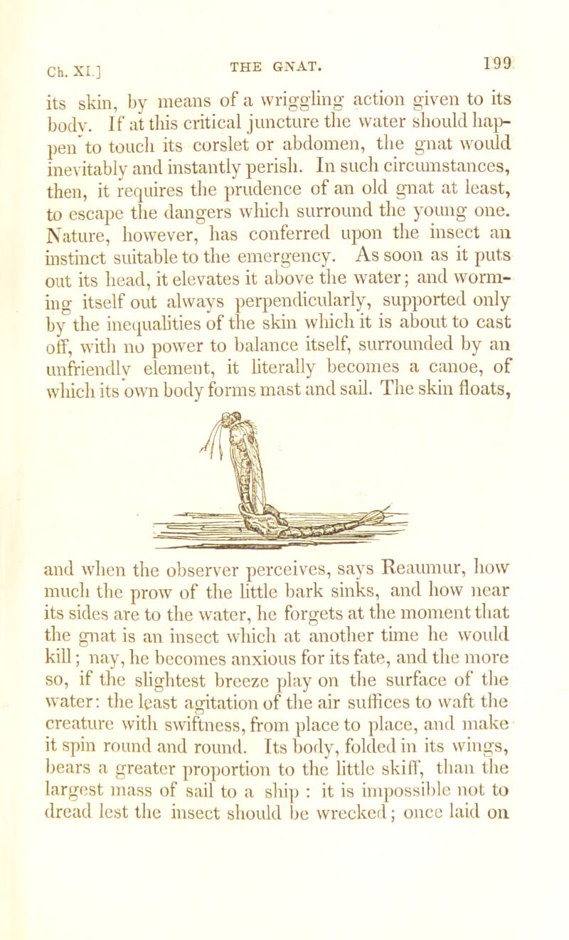 its skin, by means of a wriggling action given to its bodv. If at this critical juncture the water should hap- pen to touch its corslet or abdomen, the gnat would inevitably and instantly perish. In such circumstances, then, it requires the prudence of an old gnat at least, to escape the dangers which surround the young one. Nature, however, has conferred upon the insect an instinct suitable to the emergency. As soon as it puts out its head, it elevates it above the water; and worm- ing itself out always perpendicularly, supported only by the inequalities of the skin which it is about to cast off, with no power to balance itself, surrounded by an unfriendly element, it literally becomes a canoe, of which its own body forms mast and sail. The skin floats, and when the observer perceives, says Reaumur, how much the prow of the little bark sinks, and how near its sides are to the water, he forgets at the moment that the gnat is an insect which at another time he would kill; nay, he becomes anxious for its fate, and the more so, if the slightest breeze play on the surface of the water: the least agitation of the air suffices to waft the creature with swiftness, from place to place, and make it spin round and round. Its body, folded in its wings, bears a greater proportion to the little skiff, than the largest mass of sail to a ship : it is impossible not to dread lest the insect should be wrecked; once laid on