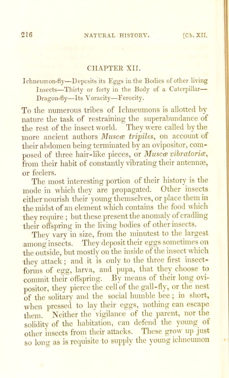 CHAPTER XII. Ichneumon-fly—Deposits its Eggs in the Bodies of other living Insects—Thirty or forty in the Body of a Caterpillar— Dragon-fly—Its Voracity—Ferocity. To the numerous tribes of Ichneumons is allotted by nature the task of restraining the superabundance of the rest of the insect world. They were called by the more ancient authors Muscce tripiles, on account of their abdomen being terminated by an ovipositor, com- posed of three hair-like pieces, or Muscce vibraiorice, from their habit of constantly vibrating their antennae, or feelers. The most interesting portion of their history is the mode in which they are propagated. Other insects either nourish their young themselves, or place them hi the midst of an element which contains the food which they require ; but these present the anomaly of cradling their offspring in the living bodies of other insects. They vary in size, from the minutest to the largest among insects. They deposit their eggs sometimes on the outside, but mostly on the inside of the insect which they attack; and it is only to the three first insect- forms of egg, larva, and pupa, that they choose to commit their offspring. By means of their long ovi- positor, they pierce the cell of the gall-fly, or the nest of the solitary and the social humble bee ; in short, when pressed to lay their eggs, nothing can escape them. Neither the vigilance of the parent, nor the solidity of the habitation, can defend the young of other 'insects from their attacks. These grow up just so long as is requisite to supply the young ichneumon