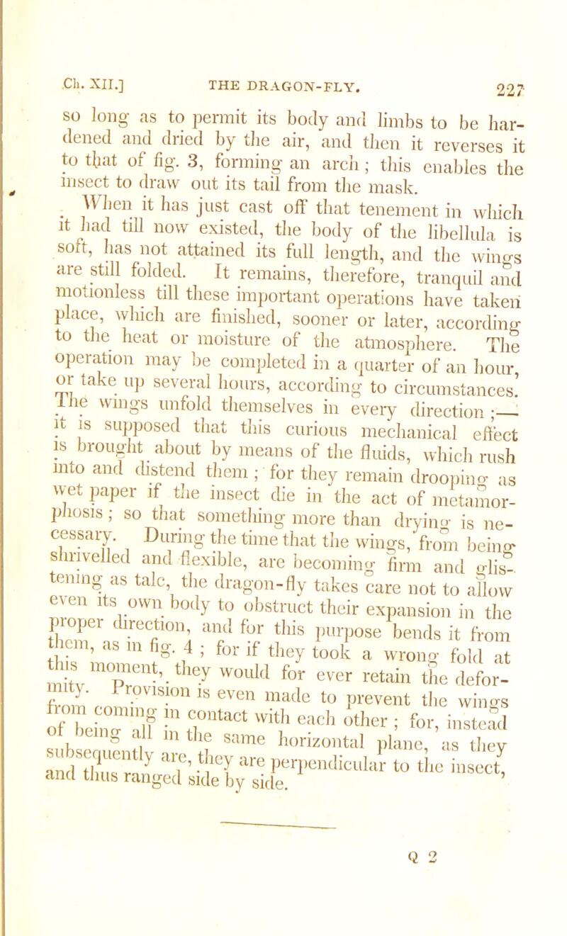 22? so long as to permit its body and limbs to be har- dened and dned by the air, and then it reverses it to that of fig. 3, forming an arch; this enables the insect to draw out its tail from the mask. . iWlien ^ has just cast off that tenement in which it had till now existed, the body of the libellula is soft, has not attained its full length, and the wings are still folded. It remains, therefore, tranquil and motionless till these important operations have taken place, which are finished, sooner or later, according to the heat or moisture of the atmosphere. The operation may be completed in a quarter of an hour or take up several hours, according to circumstances! liie wings unfold themselves in every direction ; it is supposed that this curious mechanical effect is brought about by means of the fluids, which rush into and distend them ; for they remain droopino- as wet paper if the insect die in the act of metamor- phosis ; so that something more than dryino- is ne- cessary. During the time that the wings, from being- siniveiled and flexible, are becoming firm and glis- ening as talc, the dragon-fly takes care not to allow even its own body to obstruct their expansion in the piopei direction, and for this purpose bends it from them, as m fig. 4 ; for if they took a wrong fold at JitVT W0UW f°r ever retain the defor- J. Pronsicn is even made to prevent the wings of LfoT'nlf m fCi°ntaCt With each otIler ; for, instead & c m the same horizontal plane as thev amuZsra7 ‘T’ are Perl>endicular to the insect^ ana thus ranged side by side.