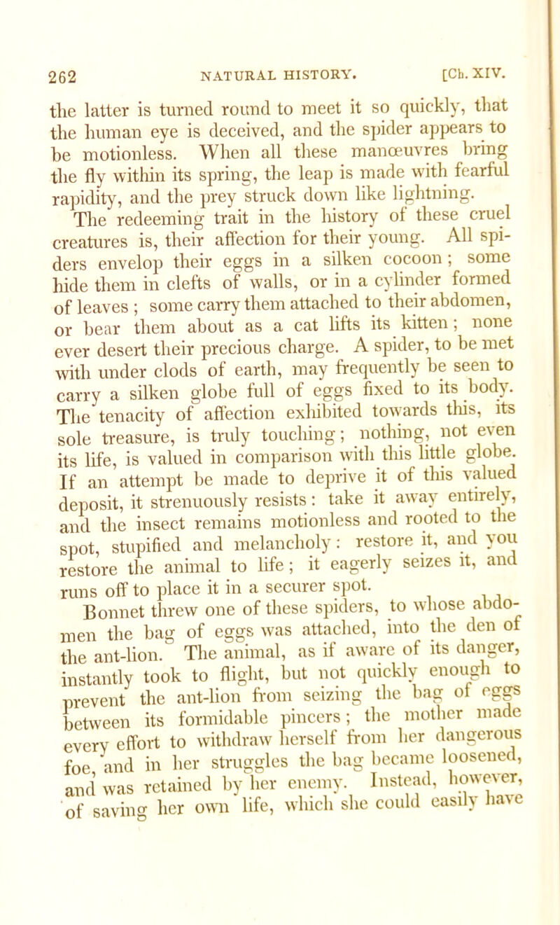 the latter is turned round to meet it so quickly, that the human eye is deceived, and the spider appears to be motionless. When all these manoeuvres bring the fly within its spring, the leap is made with fearful rapidity, and the prey struck down like lightning. The' redeeming trait in the history of these cruel creatures is, their affection for their young. All spi- ders envelop their eggs in a silken cocoon ; some hide them in clefts of walls, or in a cylinder formed of leaves ; some carry them attached to their abdomen, or hear them about as a cat lifts its kitten; none ever desert their precious charge. A spider, to be met with under clods of earth, may frequently be seen to carry a silken globe full of eggs fixed to its body. The tenacity of affection exhibited towards this, its sole treasure, is truly touching; nothing, not even its life, is valued in comparison with this little globe. If an attempt be made to deprive it of tins valued deposit, it strenuously resists: take it away entirely, and the insect remains motionless and rooted to the spot, stupified and melancholy: restore it, and y ou restore the animal to life; it eagerly seizes it, and runs off to place it in a securer spot. Bonnet threw one of these spiders, to whose abdo- men the bag of eggs was attached, into the den of the ant-lion. The animal, as if aware of its danger, instantly took to flight, but not quickly enough to prevent the ant-lion from seizing the bag of eggs between its formidable pincers; the mother made every effort to withdraw herself from her dangerous foe and in her struggles the bag became loosened, and was retained by her enemy. Instead, however, of saving her own life, which she could easily have