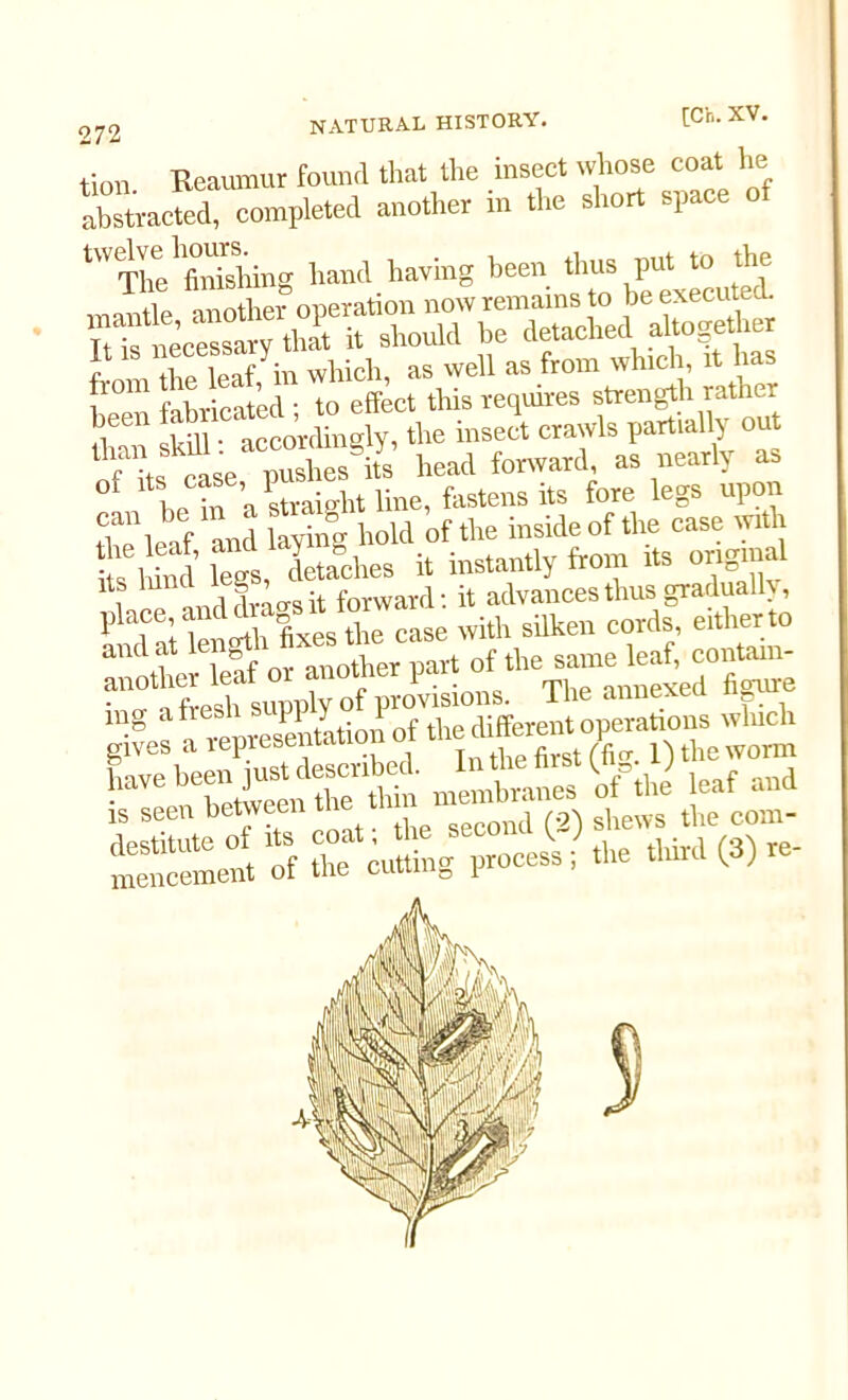 tion Reaumur found that the insect whose coat he abstracted, completed another in the short space o tW<The finishing hand having been thus putto the p°m fabricated^ T^elL^ ^ther *** Sr accorcSrgly, the insect crawls partial y out Shs cte puls its head forward, as nearly as f Lin a straight line, fastens its fore legs upon fSt f Id Wing hold of the inside of the case with S ind legs, detaches it instantly from its original \ S JfrUit forward: it advances thus gradually, place, and dra k cords eltherto aM',f 'TS or“nlet mrt of the same leaf, contain- ^'^afresh supply of provisions. The annexed figure s:— 3