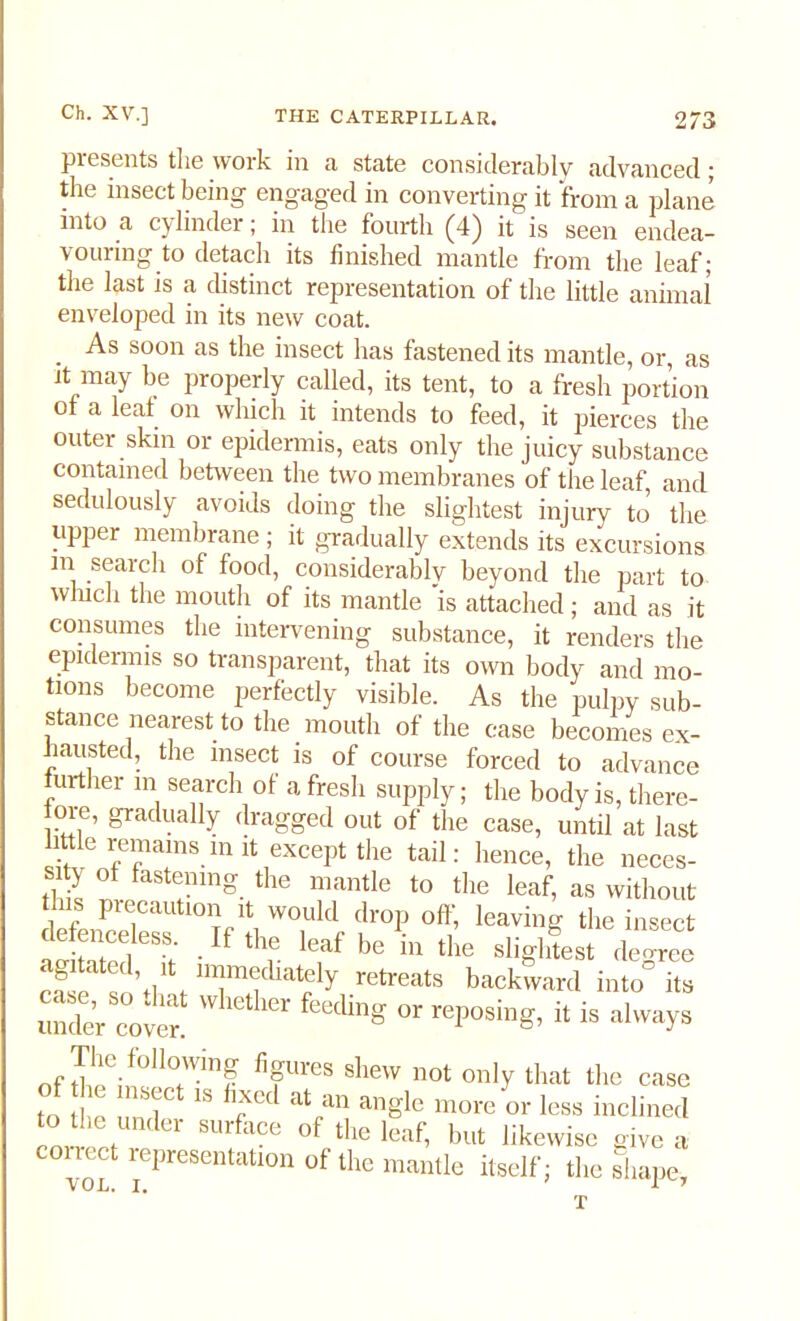 presents the work in a state considerably advanced; the insect being engaged in converting it from a plane into a cylinder; in the fourth (4) it is seen endea- vouring to detach its finished mantle from the leaf; the last is a distinct representation of the little animal enveloped in its new coat. . ^s soon as the insect has fastened its mantle, or as it may be properly called, its tent, to a fresh portion of a leaf on winch it intends to feed, it pierces the outer skm or epidermis, eats only the juicy substance contained between the two membranes of the leaf, and sedulously avoids doing the slightest injury to the upper membrane ; it gradually extends its excursions in search of food, considerably beyond the part to winch the mouth of its mantle is attached; and as it consumes the intervening substance, it renders the epidermis so transparent, that its own body and mo- tions become perfectly visible. As the pulpy sub- stance nearest to the mouth of the case becomes ex- hausted, the insect is of course forced to advance further m search of a fresh supply; the body is, tliere- foie, gradually dragged out of the case, until at last little remains m it except the tail: hence, the neces- sity of fastening the mantle to the leaf, as without defenS^IflrT1^ ^ leaving the insect • , ': ‘ . * t ie leaf be in the slightest decree cSesnVVT^ly retreats backward into° its under coven W feecUng °r rePosing. it is always fifU'eS shew 110t °nly that the case to e unde 18 fX6d “V! angle morc or less inclined rn lzr Ce 0f the leaf> but likewise give a vol1 riCpreSentatlon of tlle mantle itself; the shape, T