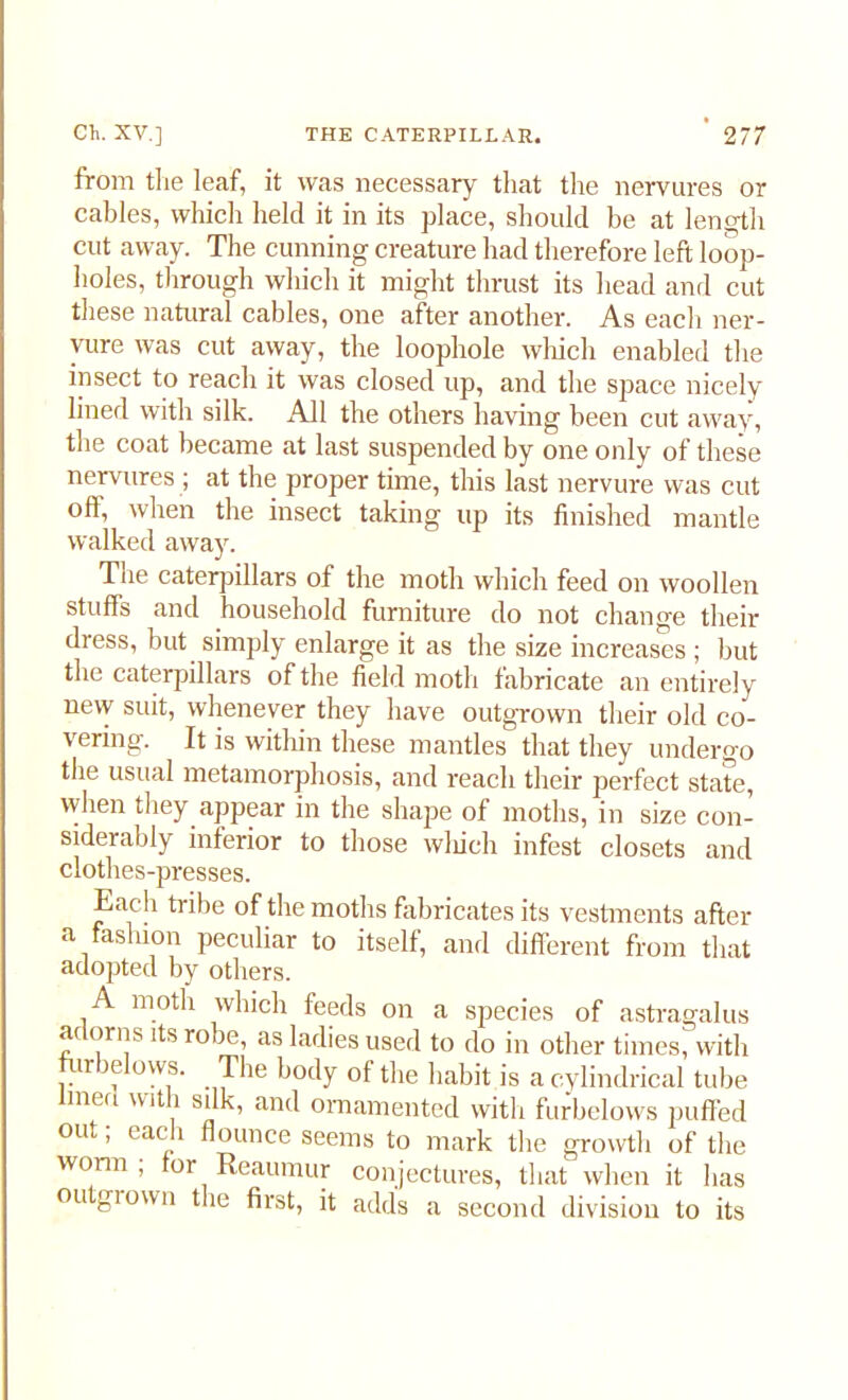 from the leaf, it was necessary that the nervures or cables, which held it in its place, should be at length cut away. The cunning creature had therefore left loop- holes, through which it might thrust its head and cut these natural cables, one after another. As each ner- vure was cut away, the loophole which enabled the insect to reach it was closed up, and the space nicely lined with silk. All the others having been cut away, the coat became at last suspended by one only of these nervures; at the proper time, this last nervure was cut off, when the insect taking up its finished mantle walked away. The caterpillars of the moth which feed on woollen stuffs and household furniture do not change their dress, but simply enlarge it as the size increases ; but the caterpillars of the field moth fabricate an entirely nevy suit, whenever they have outgrown their old co- vering. It is within these mantles that they undergo the usual metamorphosis, and reach their perfect state, when they appear in the shape of moths, in size con- siderably inferior to those which infest closets and clothes-presses. Each tribe of the moths fabricates its vestments after a fashion peculiar to itself, and different from that adopted by others. A moth which feeds on a species of astragalus adorns its robe, as ladies used to do in other tiniest with furbelows. The body of the habit is a cylindrical tube lined with silk, and ornamented with furbelows puffed out; each flounce seems to mark the growth of the worm; for Reaumur conjectures, that when it lias ou grown the first, it adds a second division to its