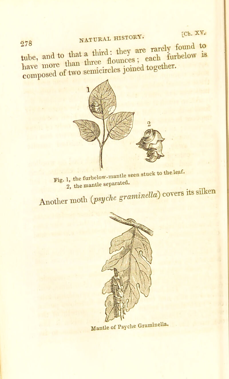 o78 natural history. tube, 18 X«“»f“oBeioi,,e4t08 2, the mantle separated. Another r niotli (psyche graminella) covers its siiken Mantle of Psyche Graminella.