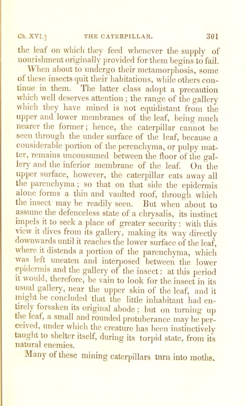 the leaf on which they feed whenever tire supply of nourishment originally provided for them begins to fail. When about to undergo their metamorphosis, some of these insects quit their habitations, while others con- tinue in them. The latter class adopt a precaution which well deserves attention ; the range of the gallery which they have mined is not equidistant from the upper and lower membranes of the leaf, being much nearer the former; hence, the caterpillar cannot be seen through the under surface of the leaf, because a considerable portion of the perencliyma, or pulpy mat- ter, remains unconsumed between the floor of the gal- lery and the inferior membrane of the leaf. On the upper surface, however, the caterpillar eats away all the parenchyma; so that on that side the epidermis alone forms a thin and vaulted roof, through which the insect maybe readily seen. But when about to assume the defenceless state of a chrysalis, its instinct impels it to seek a place of greater security: with this view it dives from its gallery, making its way directly downwards until it reaches the lower surface of the leaf, where it distends a portion of the parenchyma, which was left uneaten and interposed between the lower epidermis and the gallery of the insect: at tliis period it would, therefore, be vain to look for the insect in its usual gallery, near the upper skin of the leaf, and it might be concluded that the little inhabitant had en- tirely forsaken its original abode ; but on turning up the leaf, a small and rounded protuberance may be per- ceived, under which the creature has been instinctively taught to shelter itself, during its torpid state, from its natural enemies. Many of these mining caterpillars tnrn into moths.