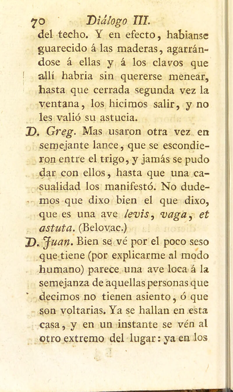 del techo. Y en efecto, habíanse guarecido á las maderas, agarrán- dose á ellas y á los clavos que allí habría sin quererse menear, hasta que cerrada segunda vez la ventana, los hicimos salir, y no les valió su astucia. D. Greg. Mas usaron otra vez en semejante lance, que se escondie- ron entre el trigo, y jamás se pudo dar con ellos, hasta que una ca- sualidad los manifestó. No dude- mos que dixo bien el que dixo, que es una ave levis, vaga, et astuta. (Belovac.) D.J uan. Bien se vé por el poco seso que tiene (por explicarme al modo humano) parece una ave loca á la semejanza de aquellas personas que decimos no tienen asiento, ó que son voltarias. Ya se hallan en esta casa, y en un instante se vén al otro extremo del lugar: ya en los