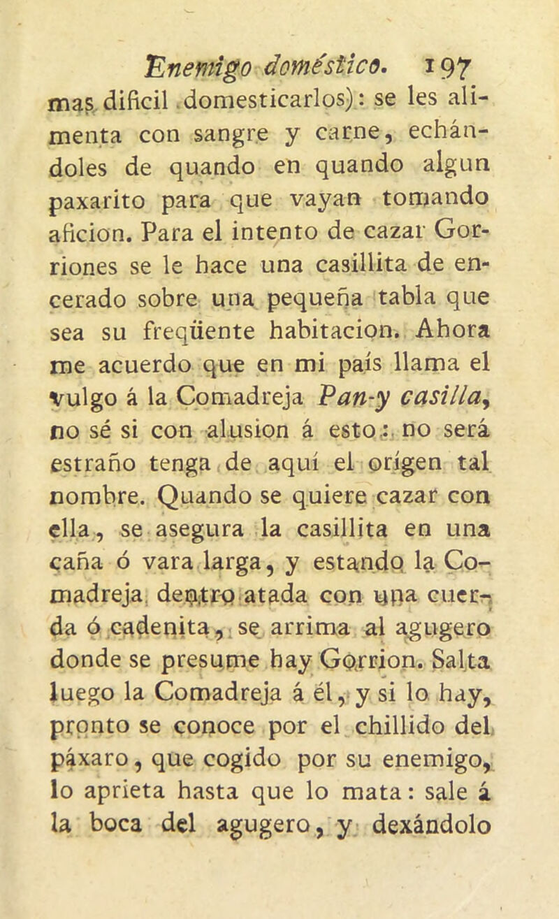 mas difícil domesticarlos) : se les ali- menta con sangre y carne, echán- doles de quando en quando algún paxarito para que vayan tomando afición. Para el intento de cazar Gor- riones se le hace una casillita de en- cerado sobre una pequeña tabla que sea su freqüente habitación. Ahora me acuerdo que en mi país llama el Vulgo á la Comadreja Pan-y casilla, no sé si con alusión á esto.: no será estraño tenga de aquí el origen tal nombre. Quando se quiere cazar con ella, se asegura la casillita en una caña ó vara larga, y estando la Co- madreja dentro atada con upa cuer- da ó cadenita, se arrima al agugero donde se presume hay Gorrión. Salta luego la Comadreja á él, y si lo hay, pronto se conoce por el chillido del páxaro , que cogido por su enemigo, lo aprieta hasta que lo mata: sale á la boca del agugero, y dexándolo
