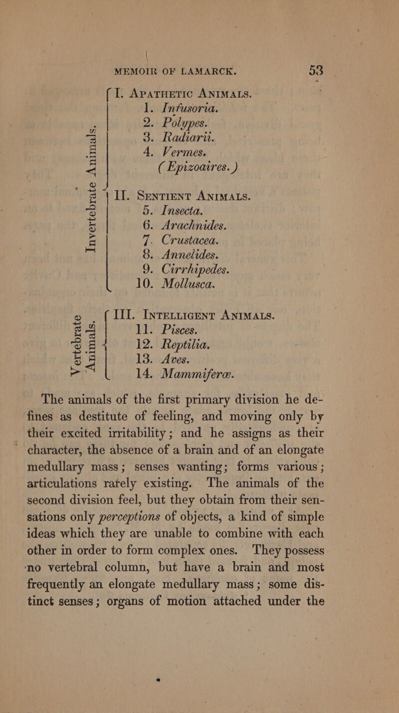 { MEMOIR OF LAMARCK. 53 (I. Aparneric ANIMALS. - 1. Infusoria. 2. Polypes. 3. Radiarir. 4, Vermes. ( Epizoaires. ) | I. SENTIENT ANIMALS. . Insecta. }. Arachnides. 5 6 7. Crustacea. 8 9 0 Invertebrate Animals. . Annelides. . Cirrhipedes. . Mollusca. III. Intrev.icent ANIMALS. ll. Pisces. 12. Reptilia. 13. Aves. 14. Mammifere. Vertebrate Animals. The animals of the first primary division he de- fines as destitute of feeling, and moving only by _ their excited irritability; and he assigns as their _ character, the absence of a brain and of an elongate medullary mass; senses wanting; forms various ; articulations rately existing. The animals of the second division feel, but they obtain from their sen- sations only perceptions of objects, a kind of simple ideas which they are unable to combine with each other in order to form complex ones. They possess no vertebral column, but have a brain and most frequently an elongate medullary mass; some dis- tinct senses; organs of motion attached under the