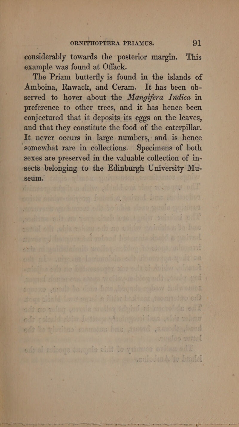 considerably towards the posterior margin. This example was found at Offack. The Priam butterfly is found in the islands of Amboina, Rawack, and Ceram. It has been ob- served to hover about the Mangifera Indica in preference to other trees, and it has hence been conjectured that it deposits its eggs on the leaves, and that they constitute the food of the caterpillar. It never occurs in large numbers, and is hence ‘somewhat rare in collections. Specimens of both sexes are preserved in the valuable collection of in- sects belonging to the Edinburgh University Mu- seum.