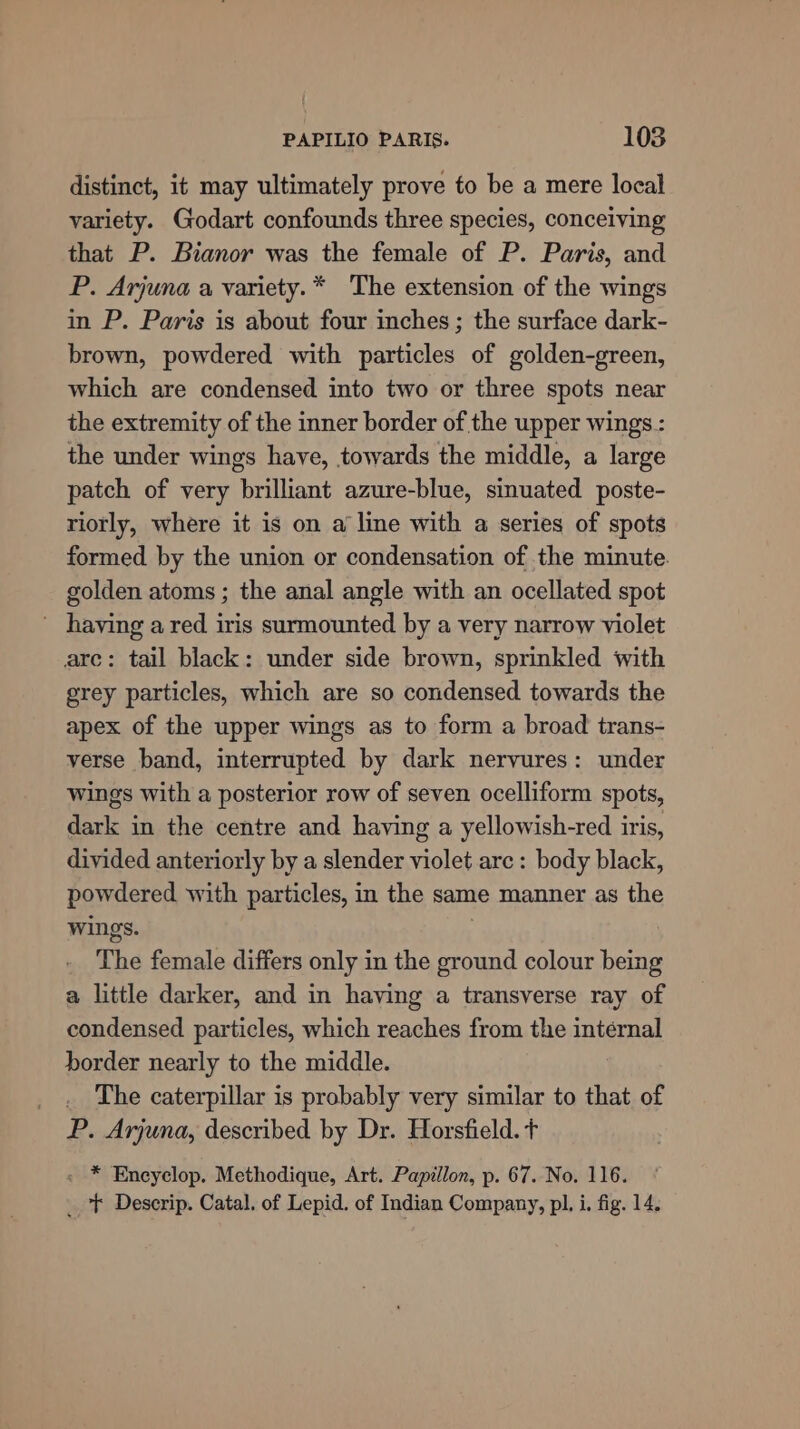 distinct, it may ultimately prove to be a mere local variety. Godart confounds three species, conceiving that P. Bianor was the female of P. Paris, and P. Arjuna a variety.* The extension of the wings in P. Paris is about four inches; the surface dark- brown, powdered with particles of golden-green, which are condensed into two or three spots near the extremity of the inner border of the upper wings : the under wings have, towards the middle, a large patch of very brilliant azure-blue, sinuated poste- riotly, where it is on a line with a series of spots formed by the union or condensation of the minute. golden atoms ; the anal angle with an ocellated spot - haying a red iris surmounted by a very narrow violet are: tail black: under side brown, sprinkled with grey particles, which are so condensed towards the apex of the upper wings as to form a broad trans- verse band, interrupted by dark nervures: under wings with a posterior row of seven ocelliform spots, dark in the centre and having a yellowish-red iris, divided anteriorly by a slender violet are: body black, powdered with particles, in the same manner as the wings. The female differs only in the ground colour being a little darker, and in having a transverse ray of condensed particles, which reaches from the intérnal border nearly to the middle. _ The caterpillar is probably very similar to that of P. Arjuna, described by Dr. Horsfield. t - * Encyclop. Methodique, Art. Papillon, p. 67. No. 116. _ t+ Descrip. Catal. of Lepid. of Indian Company, pl. i. fig. 14.