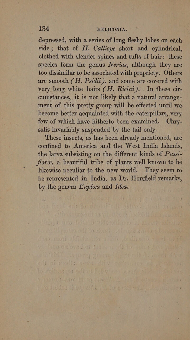 depressed, with a series of long fleshy lobes on each side; that of H. Calliope short and cylindrical, clothed with slender spines and tufts of hair: these species form the genus Nerias, although they are too dissimilar to be associated with propriety. Others are smooth (H. Psidii_), and some are covered with very long white hairs (H. Ricini). In these cir- cumstances, it is not likely that a natural arrange- ment of this pretty group will be effected until we become better acquainted with the caterpillars, very few of which have hitherto been examined. Chry- salis invariably suspended by the tail only. These insects, as has been already mentioned, are confined to America and the West India Islands, the larva subsisting on the different kinds of Passi- flore, a beautiful tribe of plants well known to be likewise peculiar to the new world. They seem to be represented in India, as Dr. Horsfield remarks, by the genera Euplea and Idea.