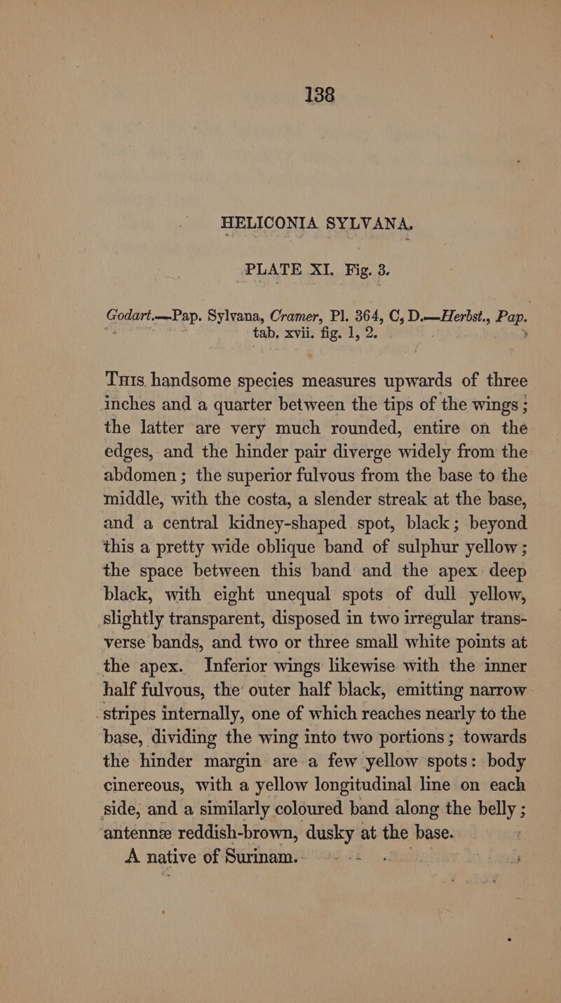 HELICONIA SYLVANA. PLATE XI. Fig. 3. Godart.—-Pap. Sylvana, Cramer, Pl. op C, D.—Herbst., fee tab. xvii. fig. 1, Tus handsome species measures upwards of three inches and a quarter between the tips of the wings; the latter are very much rounded, entire on the edges, and the hinder pair diverge widely from the abdomen ; the superior fulvous from the base to the middle, with the costa, a slender streak at the base, and a central kidney-shaped spot, black; beyond this a pretty wide oblique band of sulphur yellow ; the space between this band and the apex deep black, with eight unequal spots of dull yellow, slightly transparent, disposed in two irregular trans- verse bands, and two or three small white points at the apex. Inferior wings likewise with the inner half fulvous, the’ outer half black, emitting narrow stripes internally, one of which reaches nearly to the base, dividing the wing into two portions; towards the hinder margin are a few yellow spots: body cinereous, with a yellow longitudinal line on each side, and a similarly coloured band along the belly ; ‘antennz reddish-brown, dusky at the base. A native of Surinam.§ 24 66, 3