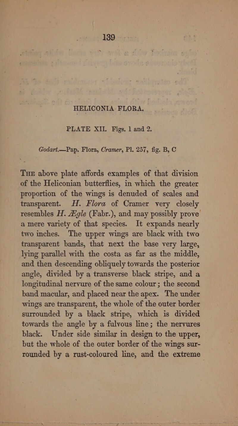 HELICONIA FLORA. PLATE XII. Figs. 1 and 2. Godart.—Pap. Flora, Cramer, Pl. 257, fig. B, C THE above plate affords examples of that division of the Heliconian butterflies, in which the greater proportion of the wings is denuded of scales and transparent. HH. Flora of Cramer very closely resembles H. Egle (Fabr.), and may possibly prove a mere variety of that species. It expands nearly two inches. The upper wings are black with two transparent bands, that next the base very large, lying parallel with the costa as far as the middle, and then descending obliquely towards the posterior angle, divided by a transverse black stripe, and a longitudinal nervure of the same colour; the second band macular, and placed near the apex. The under wings are transparent, the whole of the outer border surrounded by a black stripe, which is divided towards the angle by a fulvous line; the nervures black. Under side similar in design to the upper, but the whole of the outer border of the wings sur- rounded by a rust-coloured line, and the extreme