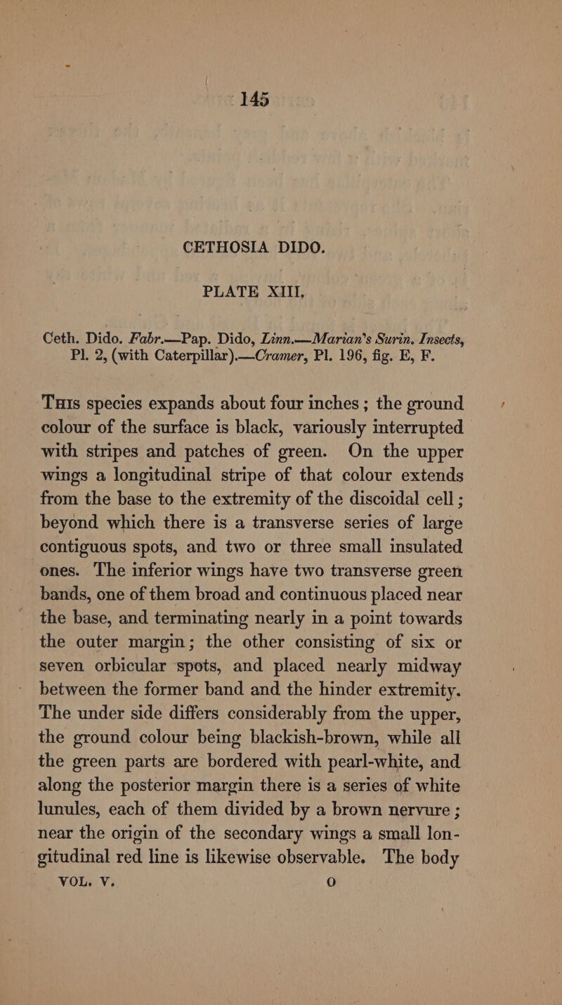 CETHOSIA DIDO. PLATE XiIl, Ceth. Dido. Fabr.—Pap. Dido, Linn.—Marian’s Surin. Insects, Pl. 2, (with Caterpillar)—Cramer, Pl. 196, fig. E, F. THIs species expands about four inches ; the ground colour of the surface is black, variously interrupted with stripes and patches of green. On the upper wings a longitudinal stripe of that colour extends from the base to the extremity of the discoidal cell ; beyond which there is a transverse series of large contiguous spots, and two or three small insulated ones. The inferior wings have two transverse green bands, one of them broad and continuous placed near the base, and terminating nearly in a point towards the outer margin; the other consisting of six or seven orbicular spots, and placed nearly midway between the former band and the hinder extremity. The under side differs considerably from the upper, the ground colour being blackish-brown, while all the green parts are bordered with pearl-white, and along the posterior margin there is a series of white lunules, each of them divided by a brown nervure ; near the origin of the secondary wings a small lon- gitudinal red line is likewise observable. The body VOL, V. Oo