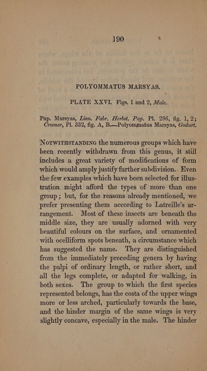 POLYOMMATUS MARSYAS, PLATE XXVI. Figs. 1 and 2, Male. Pap. Marsyas, Linn. Fabr. Herbst. Pap. Pl. 296, fig. 1, 23 Cramer, Pl. 332, fig. A, BX—Polyommatus Marsyas, Godart. NotTWITHSTANDING the numerous groups which have been recently withdrawn from this genus, it stiil includes a great variety of modifications of form. which would amply justify further subdivision.. Even the few examples which have been selected for illus- tration might afford the types of more than one group; but, for the reasons already mentioned, we prefer presenting them according to Latreille’s ar- rangement. Most of these insects are beneath the middle size, they are usually adorned with very beautiful colours on the surface, and ornamented with ocelliform spots beneath, a circumstance which has suggested the name. They are distinguished - from the immediately preceding genera by having the palpi of ordinary length, or rather short, and all the legs complete, or adapted for walking, in both sexes. The group to which the first species represented belongs, has the costa of the upper wings more or less arched, particularly towards the base, and the hinder margin of the same wings is very - slightly concave, especially in the male. The hinder