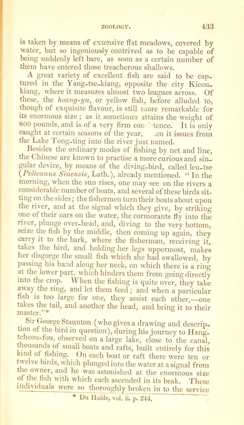 is taken by means of extensive flat meadows^ covered by water, but so ingeniously contrived as to be capable of being suddenly left bare, as soon as a certain number of them have entered those treacherous shallows. A great variety of excellent fish are said to be cap- tured in the Yang-tse-kiang, opposite the city Kieou- kiang, where it measures almost two leagues across. Of these, the hoang-yu, or yellow fish, before alluded to, though of exquisite flavour, is still more remarkable for its enormous size; as it sometimes attains the weight of 800 pounds, and is of a very firm con ' tence. It is only caught at certain seasons of the year, .en it issues from the Lake Tong-ting into the river just named. Besides the ordinary modes of fishing by net and line, the Chinese are known to practise a more curious and sin- gular device, by means of the diving-bird, called leu-tse {Pelicanus Sinensis, Lath.), already mentioned. “ In the morning, when the sun rises, one may see on the rivers a considerable number of boats, and several of these birds sit- ting on the sides j the fishermen turn their boats about upon the river, and at the signal which they give, by striking one of their oars on the water, the cormorants fly into the river, plunge over-head, and, diving to the very bottom, seize the fish by the middle, then coming up again, they carry it to the bark, where the fisherman, receiving it, ^kes the bird, and holding her legs uppermost, makes her disgorge the small fish which she had swallowed, by passing his ha.ad along her neck, on which there is a ring at the lower part, which hinders them from going directly into the crop. lYhen the fishing is quite over, they take away the ring, and let them feed; and when a particular fish is too large for one, they assist each other,—one takes the tail, and another the head, and bring it to their master.”* Sir George Staunton (who gives a drawing and descrip- tion of the bird in question), during his journey to Hang- tcheou-tou, observed on a large lake, close to the cana'l, thousands of small boats and rafts, built entirely for this kind of fishing. On each boat or raft there were ten or twelve birds, which plunged into the water at a signal from the owner, and he was astonished at the enormous size ot the fish with which each ascended in its beak. These individuals were so thoroughly broken in to the service * Du Ilalde, vol. ii. p. 244.