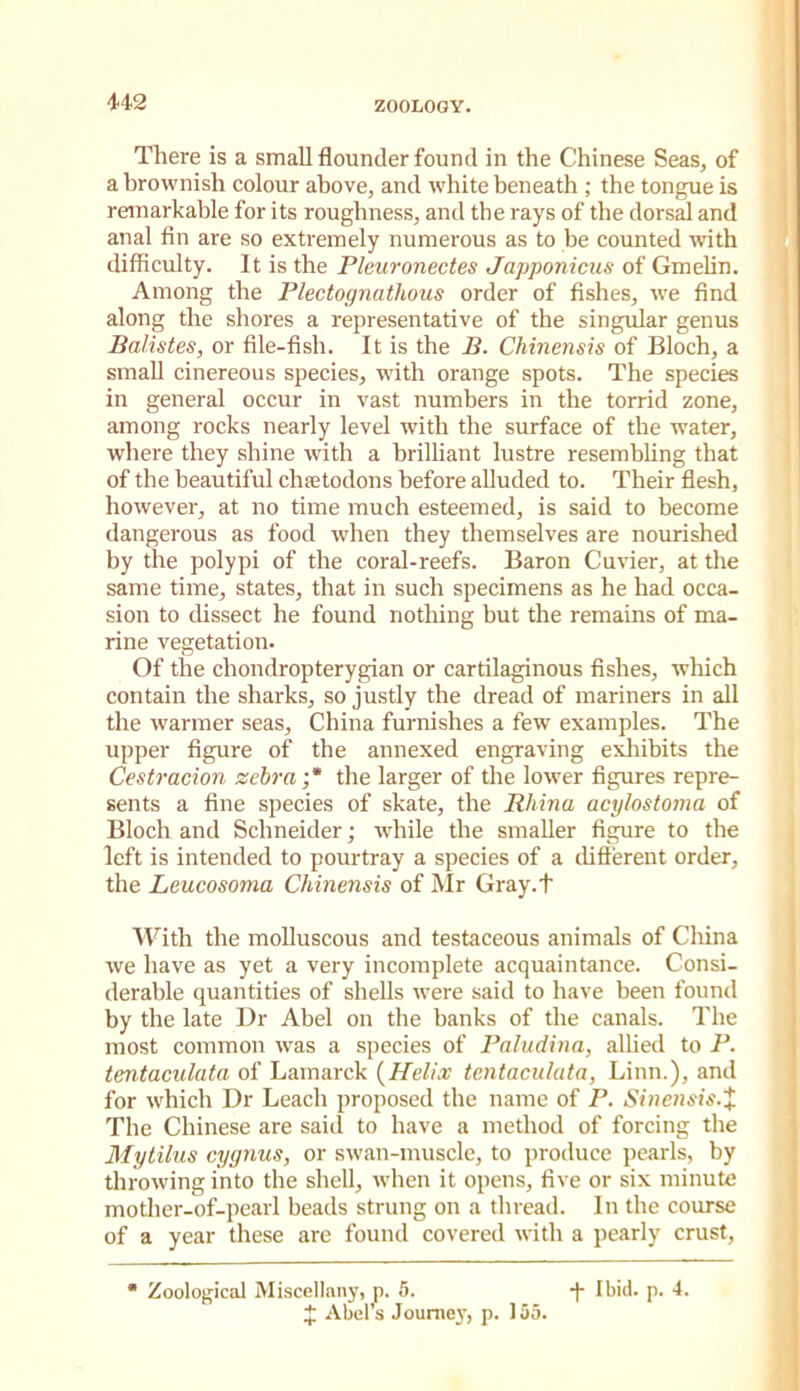 There is a small flounder found in the Chinese Seas, of a brownish colour above, and white beneath ; the tongue is remarkable for its roughness, and the rays of the dorsal and anal fln are so extremely numerous as to be counted with difficulty. It is the Pleuronectes Japponicus of Gmelin. Among the Flectognathous order of fishes, we find along the shores a representative of the singular genus Balistes, or file-fish. It is the B. Chinensis of Bloch, a small cinereous species, with orange spots. The species in general occur in vast numbers in the torrid zone, among rocks nearly level with the surface of the w'ater, where they shine with a brilliant lustre resembling that of the beautiful chsetodons before alluded to. Their flesh, however, at no time much esteemed, is said to become dangerous as food when they themselves are nourished by the polypi of the coral-reefs. Baron Cuvier, at the same time, states, that in such specimens as he had occa- sion to cUssect he found nothing but the remains of ma- rine vegetation. Of the chondropterygian or cartilaginous fishes, which contain the sharks, so justly the dread of mariners in all the warmer seas, China furnishes a few examples. The upper figure of the annexed engraving exliibits the Cestracion zebra ;* the larger of the lower figures repre- sents a fine species of skate, the Rhina acylostoma of Bloch and Schneider; wdiile the smaller figure to the left is intended to pom-tray a species of a difierent order, the Leucosoma Chinensis of Mr Gray.t With the molluscous and testaceous animals of Cliina we have as yet a very incomplete acquaintance. Consi- derable quantities of shells were said to have been found by the late Dr Abel on the banks of the canals. The most common was a species of Faludina, alhed to F. tentaculata of Lamarck {^Helioc tentaculata, Linn.), and for which Dr Leach proposed the name of F. Sincnsis.X The Chinese are sai(l to have a method of forcing the Mytilus cygnus, or swan-muscle, to produce pearls, by throwing into the shell, w-hen it opens, five or six minute mother-of-pearl beads strung on a thread. In the course of a year these are found covered with a pearly crust. • Zoological Miscellany, p. 5. -f Ibid. p. 4. + Abels Journey, p. 155.