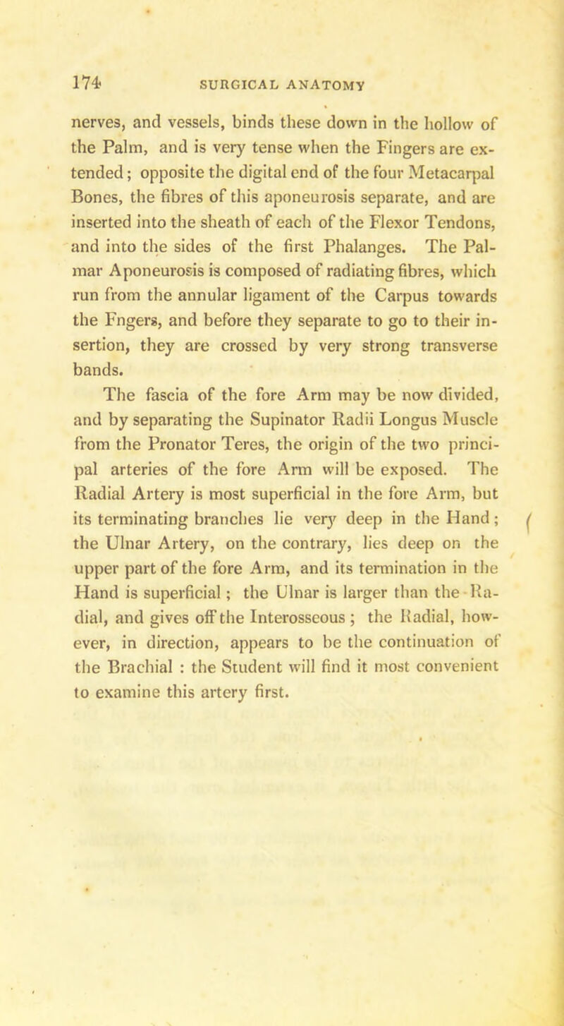 nerves, and vessels, binds these down in the hollow of the Palm, and is very tense when the Fingers are ex- tended ; opposite the digital end of the four Metacarpal Bones, the fibres of this aponeurosis separate, and are inserted into the sheath of each of the Flexor Tendons, and into the sides of the first Phalanges. The Pal- mar Aponeurosis is composed of radiating fibres, which run from the annular ligament of the Carpus towards the Fngers, and before they separate to go to their in- sertion, they are crossed by very strong transverse bands. The fascia of the fore Arm may be now divided, and by separating the Supinator Radii Longus Muscle from the Pronator Teres, the origin of the two princi- pal arteries of the fore Arm will be exposed. The Radial Artery is most superficial in the fore Arm, but its terminating branches lie very deep in the Hand; the Ulnar Artery, on the contrary, lies deep on the upper part of the fore Arm, and its termination in the Hand is superficial; the Ulnar is larger than the Ra- dial, and gives off the Interosseous ; the Radial, how- ever, in direction, appears to be the continuation of the Brachial : the Student will find it most convenient to examine this artery first.