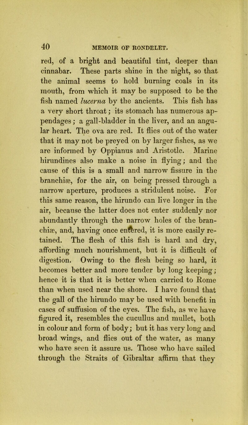 red, of a bright and beautiful tint, deeper than cinnabar. These parts shine in the night, so that the animal seems to hold burning coals in its mouth, from which it may be supposed to be the fish named lucerna by the ancients. This fish has a very short throat; its stomach has numerous ap- pendages ; a gall-bladder in the liver, and an angu- lar heart. The ova are red. It flies out of the water that it may not be preyed on by larger fishes, as we are informed by Oppianus and Aristotle. Marine hirundines also make a noise in flying; and the cause of this is a small and narrow fissure in the branchias, for the air, on being pressed through a narrow aperture, produces a stridulent noise. For this same reason, the hirundo can live longer in the air, because the latter does not enter suddenly nor abundantly through the narrow holes of the bran- chiae, and, having once enfbred, it is more easily re- tained. The flesh of this fish is hard and dry, affording much nourishment, but it is difficult of digestion. Owing to the flesh being so hard, it becomes better and more tender by long keeping ; hence it is that it is better when carried to Rome than when used near the shore. I have found that the gall of the hirundo may be used with benefit in cases of suffusion of the eyes. The fish, as we have figured it, resembles the cucullus and mullet, both in colour and form of body; but it has very long and broad wings, and flies out of the water, as many who have seen it assure us. Those who have sailed through the Straits of Gibraltar affirm that they