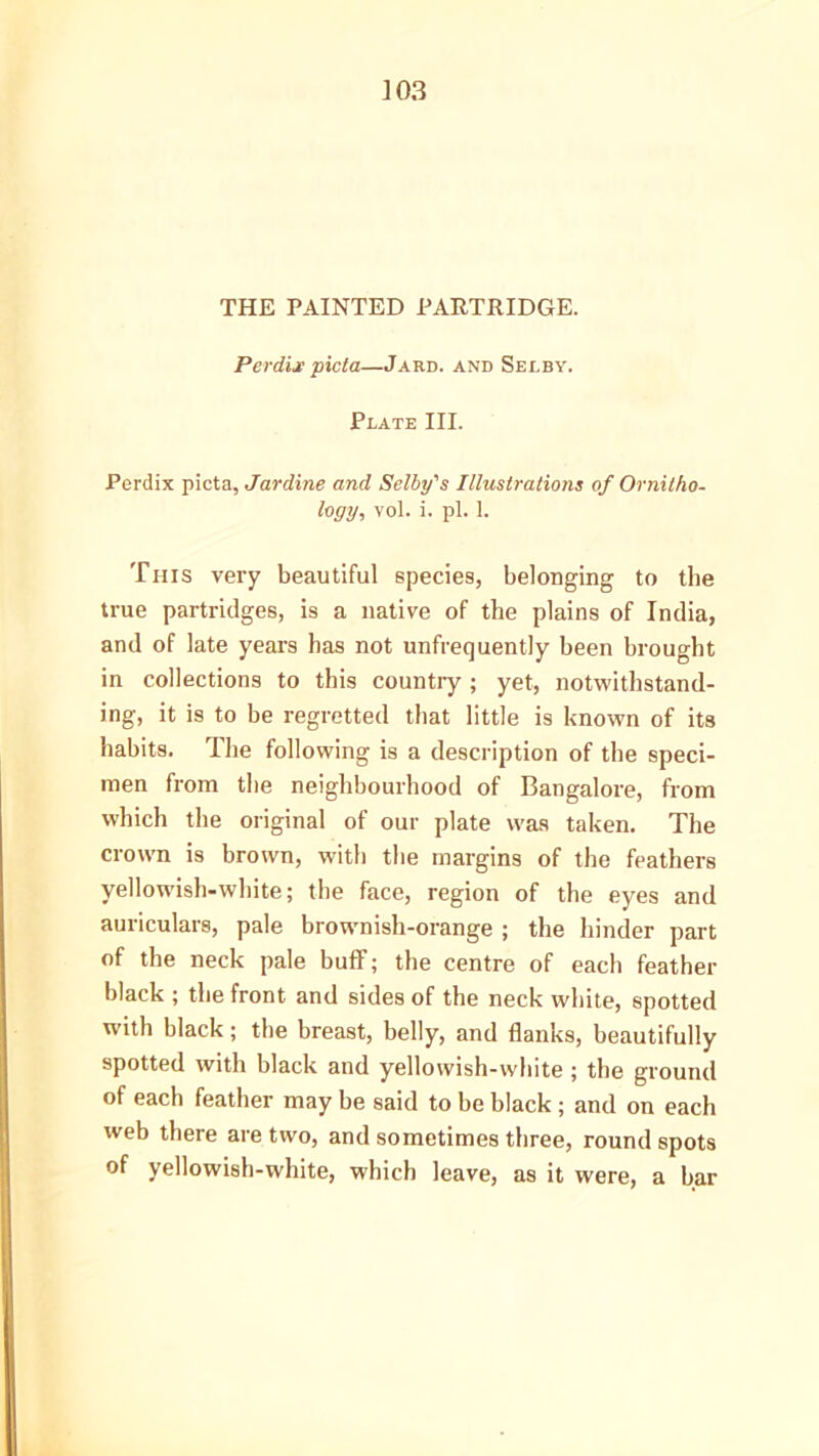 THE PAINTED PARTRIDGE. Perdije picta—Jard. and Selby. Plate III. Perdix picta, Jardine and Selby's Illustrations of Ornitho- logy, vol. i. pi. 1. This very beautiful species, belonging to the true partridges, is a native of the plains of India, and of late years has not unfrequently been brought in collections to this countiy; yet, notwithstand- ing, it is to be regretted that little is known of its habits. The following is a description of the speci- men from the neighbourhood of Bangalore, from which the original of our plate was taken. The crown is brown, with the margins of the feathers yellowish-white; the face, region of the eyes and auriculars, pale brownish-orange ; the hinder part of the neck pale buff; the centre of each feather black ; the front and sides of the neck white, spotted with black; the breast, belly, and flanks, beautifully spotted with black and yellowish-white ; the ground of each feather may be said to be black; and on each web there are two, and sometimes three, round spots of yellowish-white, which leave, as it were, a bar