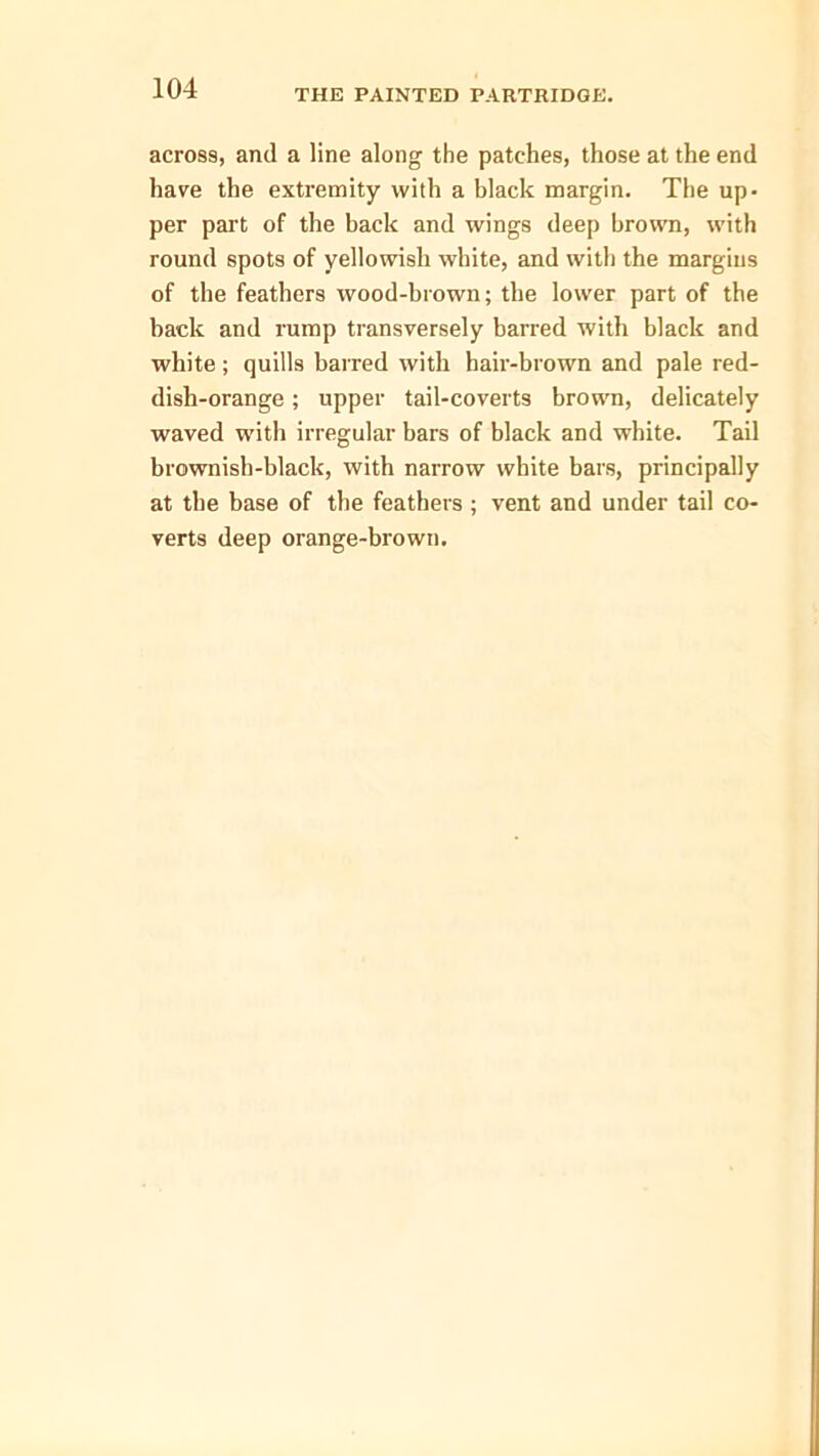 across, and a line along the patches, those at the end have the extremity with a black margin. The up- per part of the back and wings deep brown, with round spots of yellowish white, and with the margins of the feathers wood-brown; the lower part of the back and rump transversely barred with black and white; quills barred with hair-brown and pale red- dish-orange ; upper tail-coverts brown, delicately waved with irregular bars of black and white. Tail brownish-black, with narrow white bars, principally at the base of the feathers ; vent and under tail co- verts deep orange-brown.
