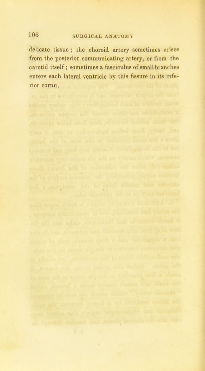 delicate tissue; the choroid artery sometimes arises from the posterior communicating artery, or from the carotid itself; sometimes a fasciculus of small branches enters each lateral ventricle by this fissure in its infe- rior cornu.