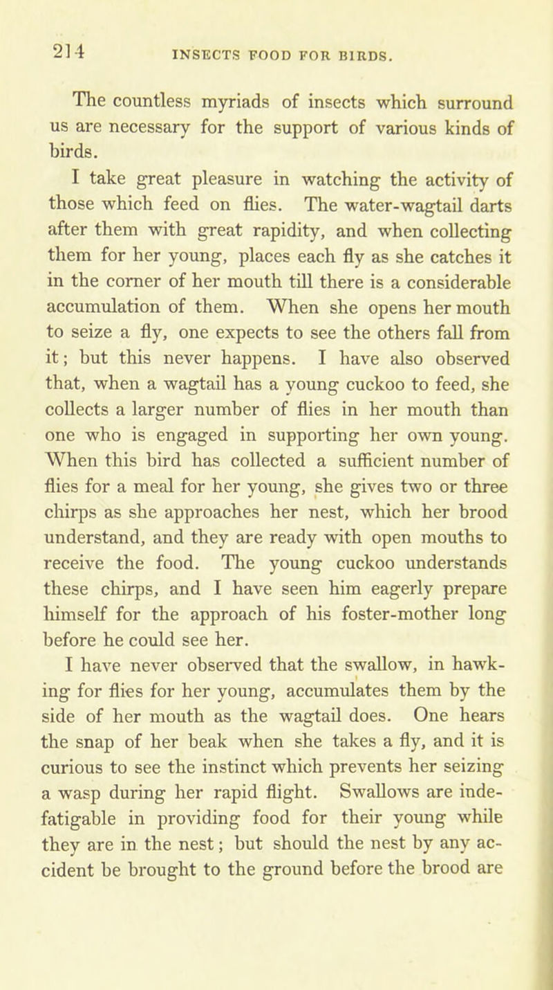 The countless myriads of insects which surround us are necessary for the support of various kinds of birds. I take great pleasure in watching the activity of those which feed on flies. The water-wagtail darts after them with great rapidity, and when collecting them for her young, places each fly as she catches it in the comer of her mouth till there is a considerable accumulation of them. When she opens her mouth to seize a fly, one expects to see the others fall from it; but this never happens. I have also observed that, when a wagtail has a young cuckoo to feed, she collects a larger number of flies in her mouth than one who is engaged in supporting her own young. When this bird has collected a sufficient number of flies for a meal for her young, she gives two or three chirps as she approaches her nest, which her brood understand, and they are ready with open mouths to receive the food. The young cuckoo understands these chirps, and I have seen him eagerly prepare liimself for the approach of his foster-mother long before he could see her. I have never observed that the swallow, in hawk- ing for flies for her young, accumulates them by the side of her mouth as the wagtail does. One hears the snap of her beak when she takes a fly, and it is curious to see the instinct which prevents her seizing a wasp during her rapid flight. Swallows are inde- fatigable in providing food for their young while they are in the nest; but should the nest by any ac- cident be brought to the ground before the brood are