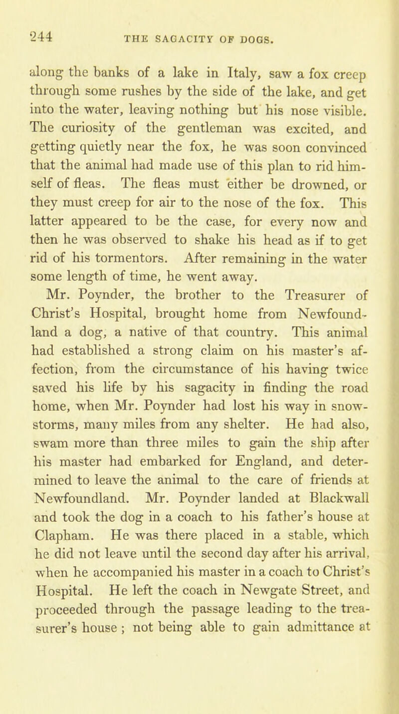 along the banks of a lake in Italy, saw a fox creep through some rushes by the side of the lake, and get into the water, leaving nothing but his nose visible, Tire curiosity of the gentleman was excited, and getting quietly near the fox, he was soon convinced that the animal had made use of this plan to rid him- self of fleas. The fleas must either be drowned, or they must creep for air to the nose of the fox. This latter appeared to be the case, for every now and then he was observed to shake his head as if to get rid of his tormentors. After remaining in the water some length of time, he went away. Mr. Poynder, the brother to the Treasurer of Christ’s Hospital, brought home from Newfound- land a dog, a native of that country. This animal had established a strong claim on his master’s af- fection, from the circumstance of his having twice saved his life by his sagacity in finding the road home, when Mr. Poynder had lost his way in snow- storms, many miles from any shelter. He had also, swam more than three miles to gain the ship after his master had embarked for England, and deter- mined to leave the animal to the care of friends at Newfoundland. Mr. Poynder landed at Blackwall and took the dog in a coach to his father’s house at Clapham. He was there placed in a stable, which he did not leave until the second day after his arrival, when he accompanied his master in a coach to Christ’s Hospital. He left the coach in Newgate Street, and proceeded through the passage leading to the ti’ea- surer’s house ; not being able to gain admittance at