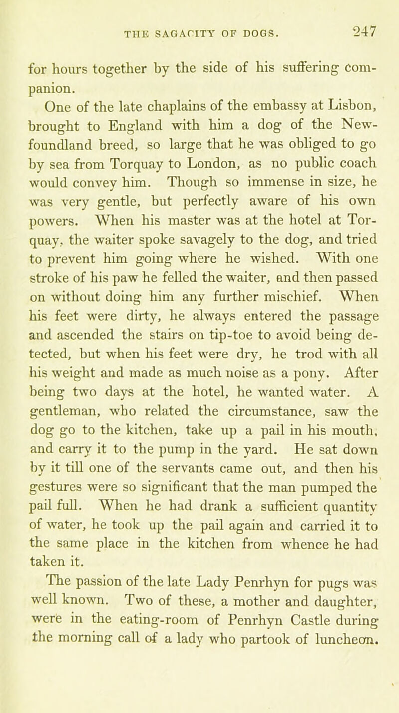 for hours together by the side of his suffering com- panion. One of the late chaplains of the embassy at Lisbon, brought to England with him a dog of the New- foundland breed, so large that he was obliged to go by sea from Torquay to London, as no public coach would convey him. Though so immense in size, he was very gentle, but perfectly aware of his own powers. When his master was at the hotel at Tor- quay, the waiter spoke savagely to the dog, and tried to prevent him going where he wished. With one stroke of his paw he felled the waiter, and then passed on without doing him any further mischief. When his feet were dirty, he always entered the passage and ascended the stairs on tip-toe to avoid being de- tected, but when his feet were dry, he trod with all his weight and made as much noise as a pony. After being two days at the hotel, he wanted water. A gentleman, who related the circumstance, saw the dog go to the kitchen, take up a pail in his mouth, and carry it to the pump in the yard. He sat down by it till one of the servants came out, and then his gestures were so significant that the man pumped the pail fuU. When he had drank a sufficient quantity of water, he took up the pail again and carried it to the same place in the kitchen from whence he had taken it. ^rhe passion of the late Lady Penrhyn for pugs was well known. Two of these, a mother and daughter, were in the eating-room of Penrhyn Castle during the morning call of a lady who partook of luncheon.