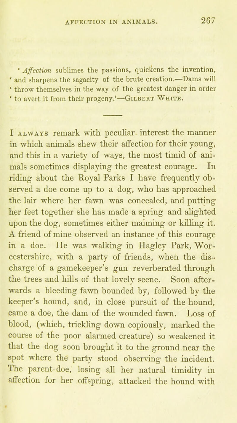 ‘ Affection sublimes the jiassions, quiclcens the invention, ' and sharpens the sagacity of the brute creation.—Dams will ‘ throw themselves in the way of the greatest danger in order ‘ to avert it from their progeny.’—Gilbert White. I ALWAYS remark with peculiar interest the manner in which animals shew their affection for their young, and this in a variety of ways, the most timid of ani- mals sometimes displaying the greatest courage. In riding about the Royal Parks I have frequently ob- ser^^ed a doe come up to a dog, who has approached the lair where her fawn was concealed, and putting her feet together she has made a spring and alighted upon the dog, sometimes either maiming or killing it. A friend of mine observed an instance of this courage in a doe. He was walking in Hagley Park, Wor- cestershire, with a party of friends, when the dis- charge of a gamekeeper’s gun reverberated through the trees and hills of that lovely scene. Soon after- wards a bleeding fawn bounded by, followed by the keeper’s hound, and, in close pursuit of the hound, came a doe, the dam of the wounded fawn. Loss of blood, (which, trickling down copiously, marked the course of the poor alarmed creature) so weakened it that the dog soon brought it to the ground near the spot where the party stood observing the incident. The parent-doe, losing all her natural timidity in affection for her offspring, attacked the hound with