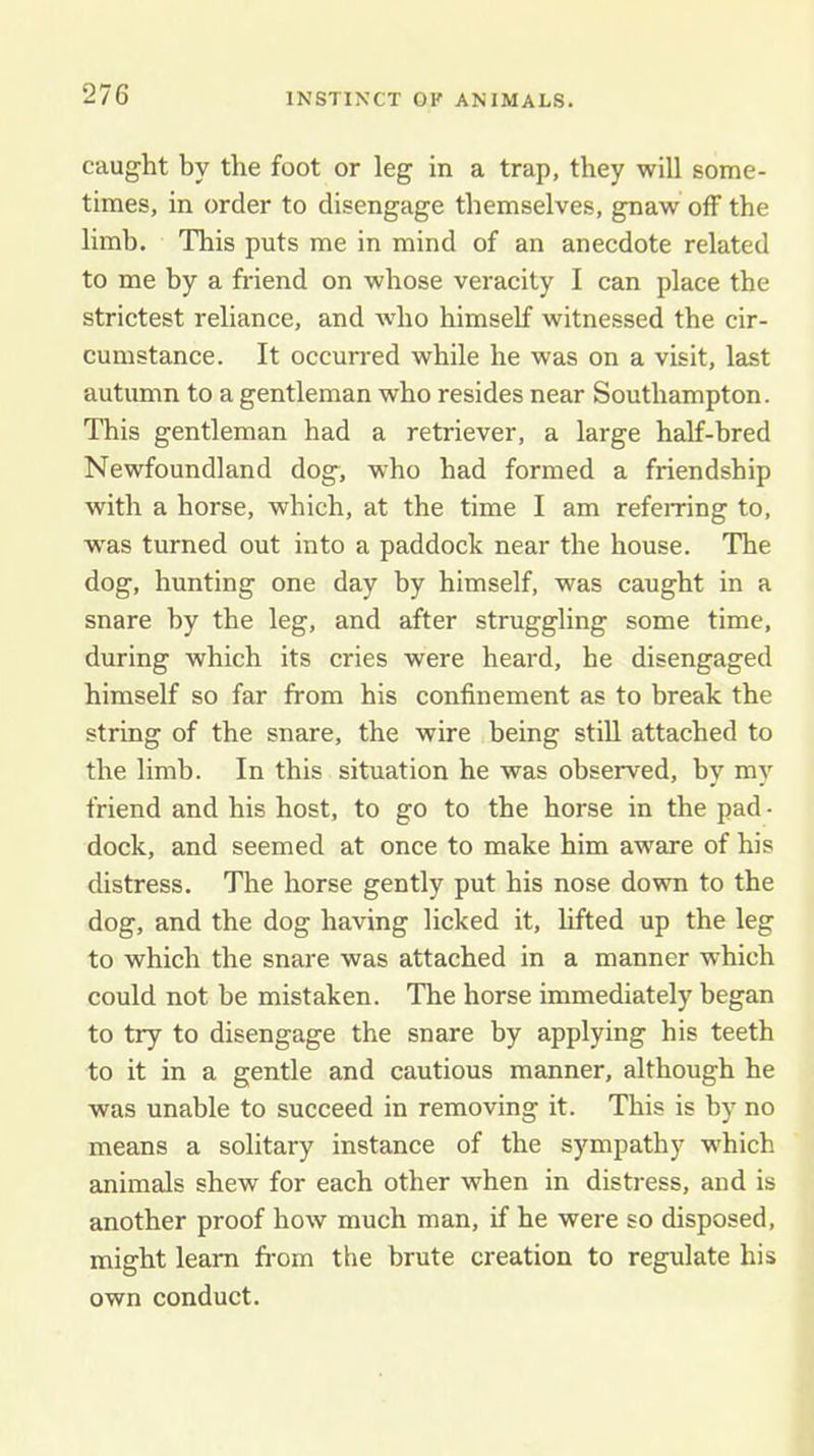 caught by the foot or leg in a trap, they will some- times, in order to disengage themselves, gnaw off the limb. This puts me in mind of an anecdote related to me by a friend on whose veracity I can place the strictest reliance, and who himself witnessed the cir- cumstance. It occurred while he was on a visit, last autumn to a gentleman who resides near Southampton. This gentleman had a retriever, a large half-bred Newfoundland dog, who had formed a friendship with a horse, which, at the time I am referring to, was turned out into a paddock near the house. The dog, hunting one day by himself, was caught in a snare by the leg, and after struggling some time, during which its cries were heard, he disengaged himself so far from his confinement as to break the string of the snare, the wire being stiU attached to the limb. In this situation he was observed, bv mv friend and his host, to go to the horse in the pad • dock, and seemed at once to make him aware of his distress. The horse gently put his nose down to the dog, and the dog having licked it, hfted up the leg to which the snare was attached in a manner which could not be mistaken. The horse immediately began to try to disengage the snare by applying his teeth to it in a gentle and cautious manner, although he was unable to succeed in removing it. This is by no means a solitary instance of the sympathy which animals shew for each other when in distress, and is another proof how much man, if he were so disposed, might learn from the brute creation to regulate his own conduct.